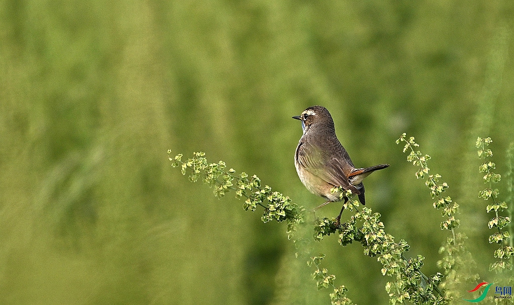DSC_4059.JPG