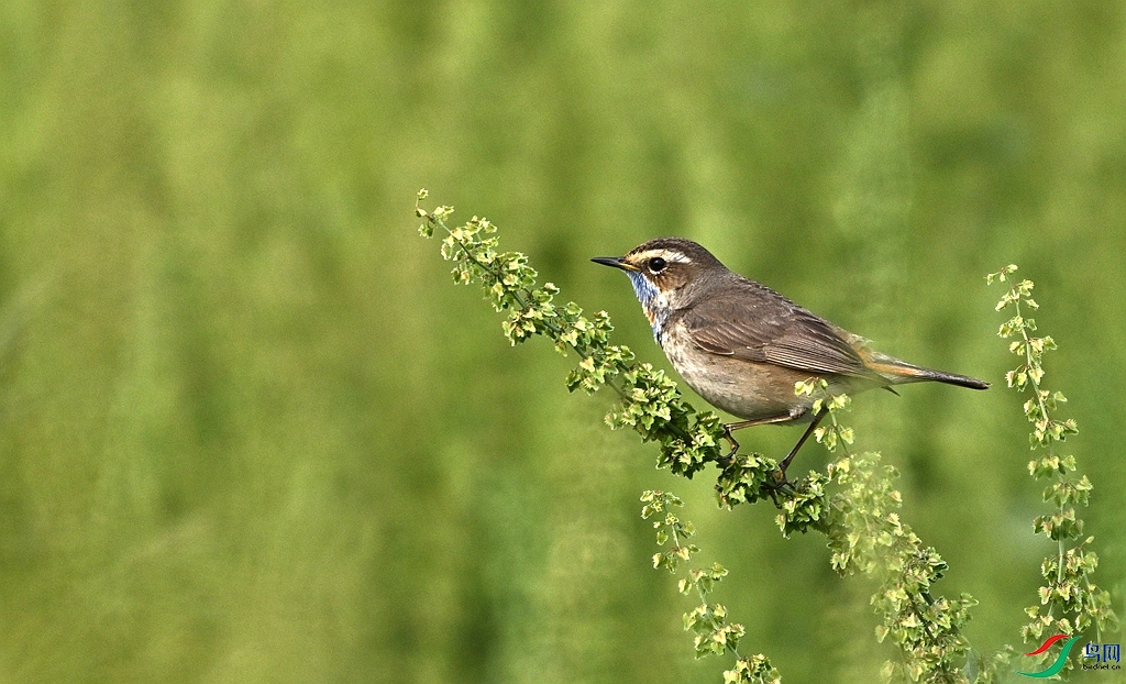 DSC_4090.JPG