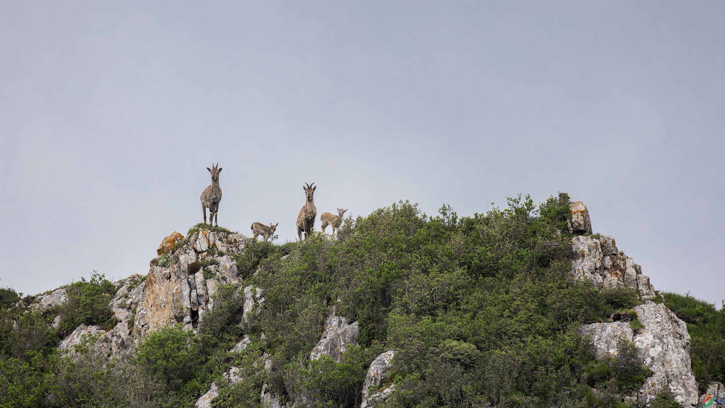 7X5A1804-������ϸ�  2.jpg