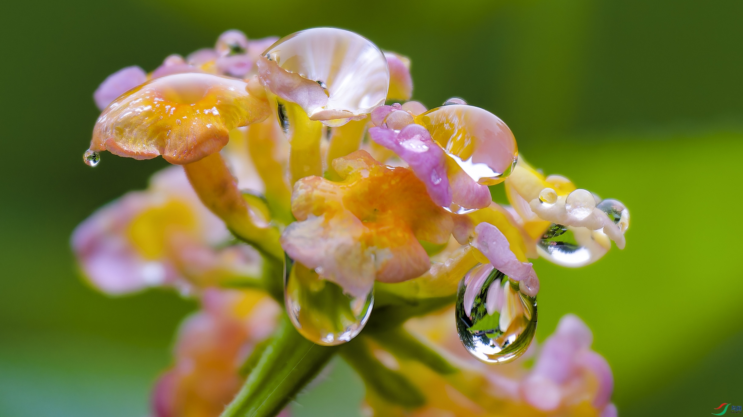 DSC_3394_DxO.jpg