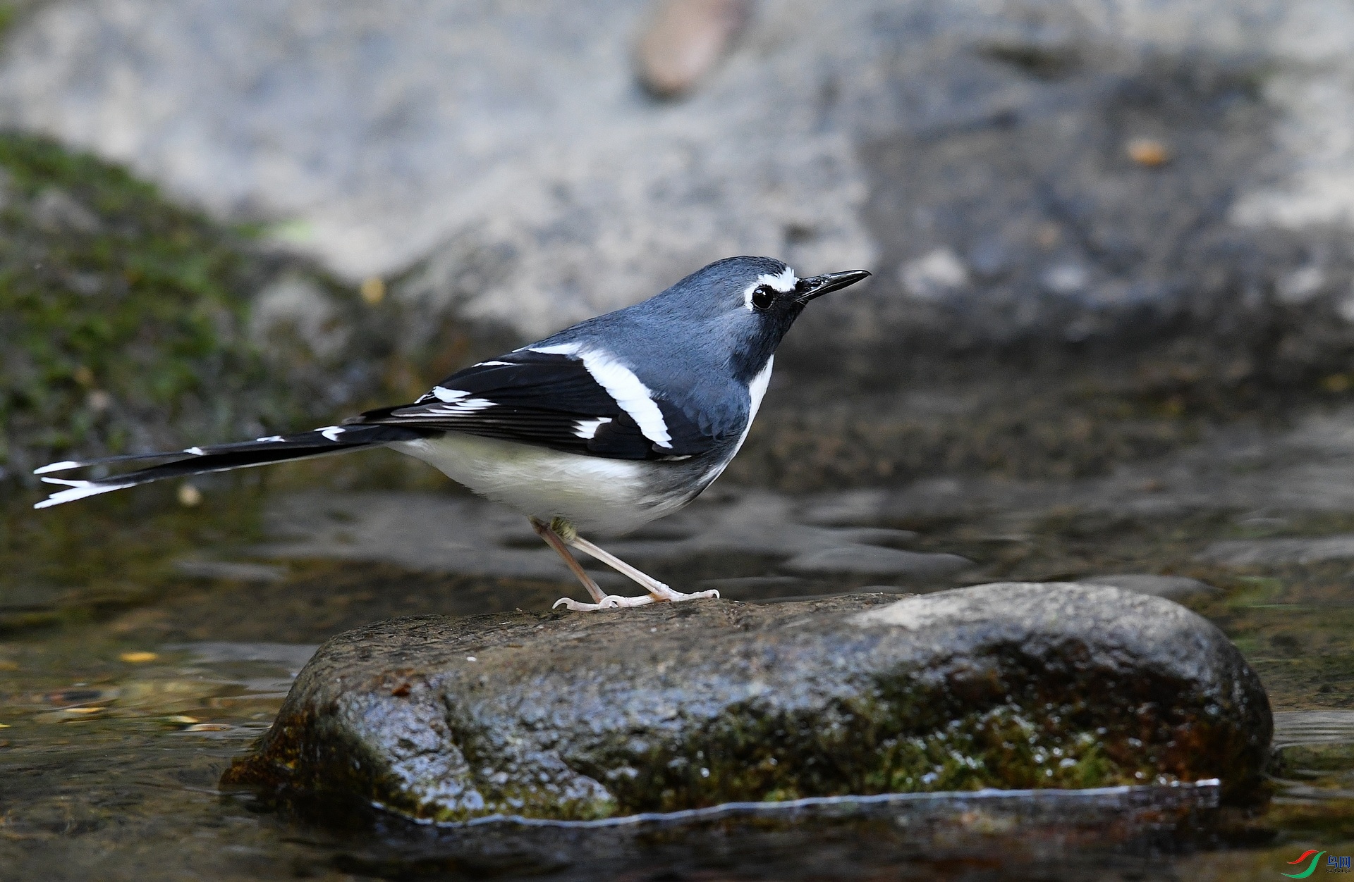 DSC_3628.jpg