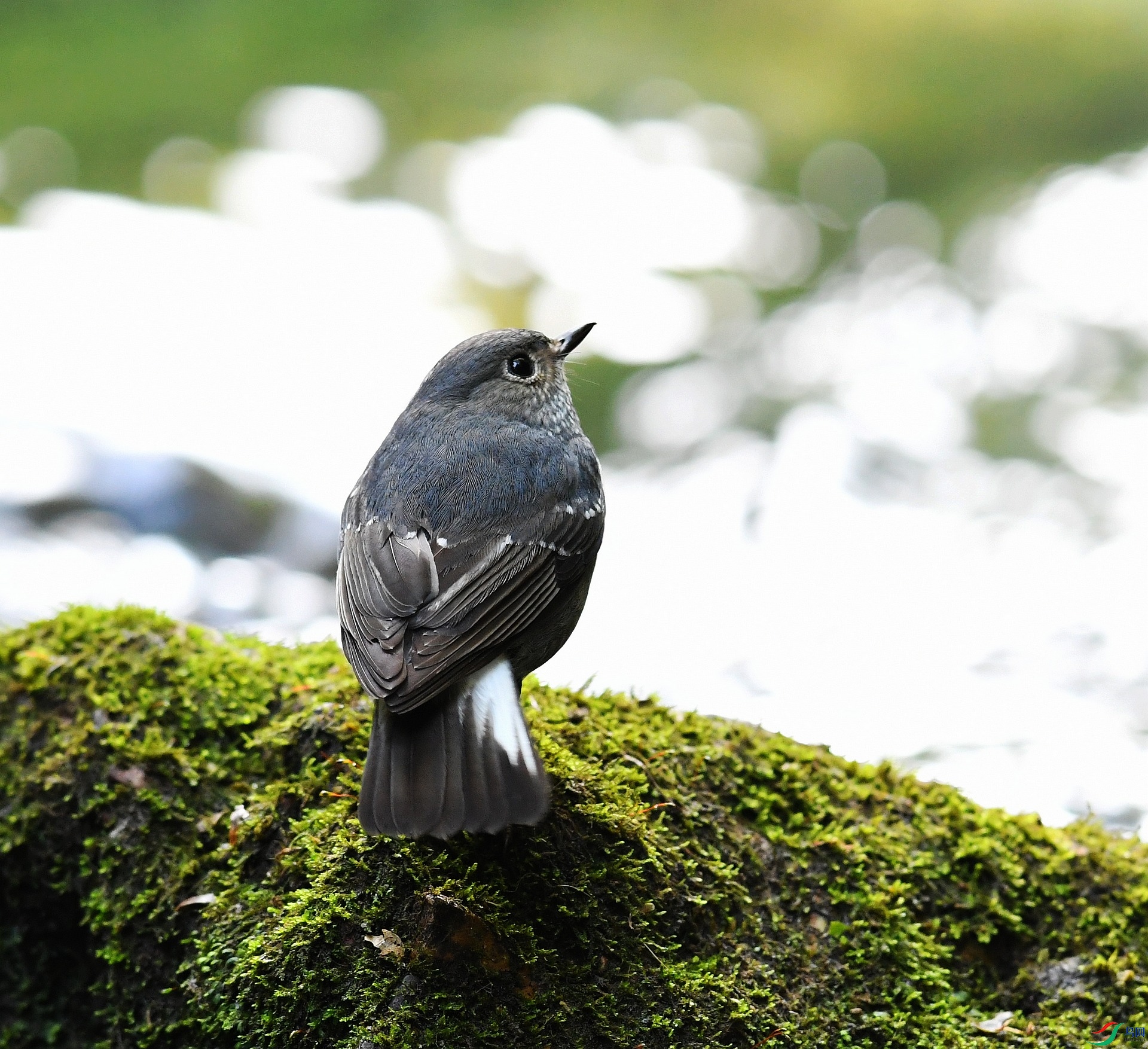 DSC_3661.jpg