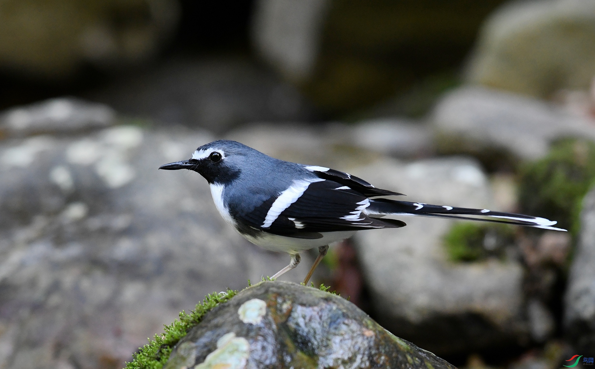 DSC_3614.jpg