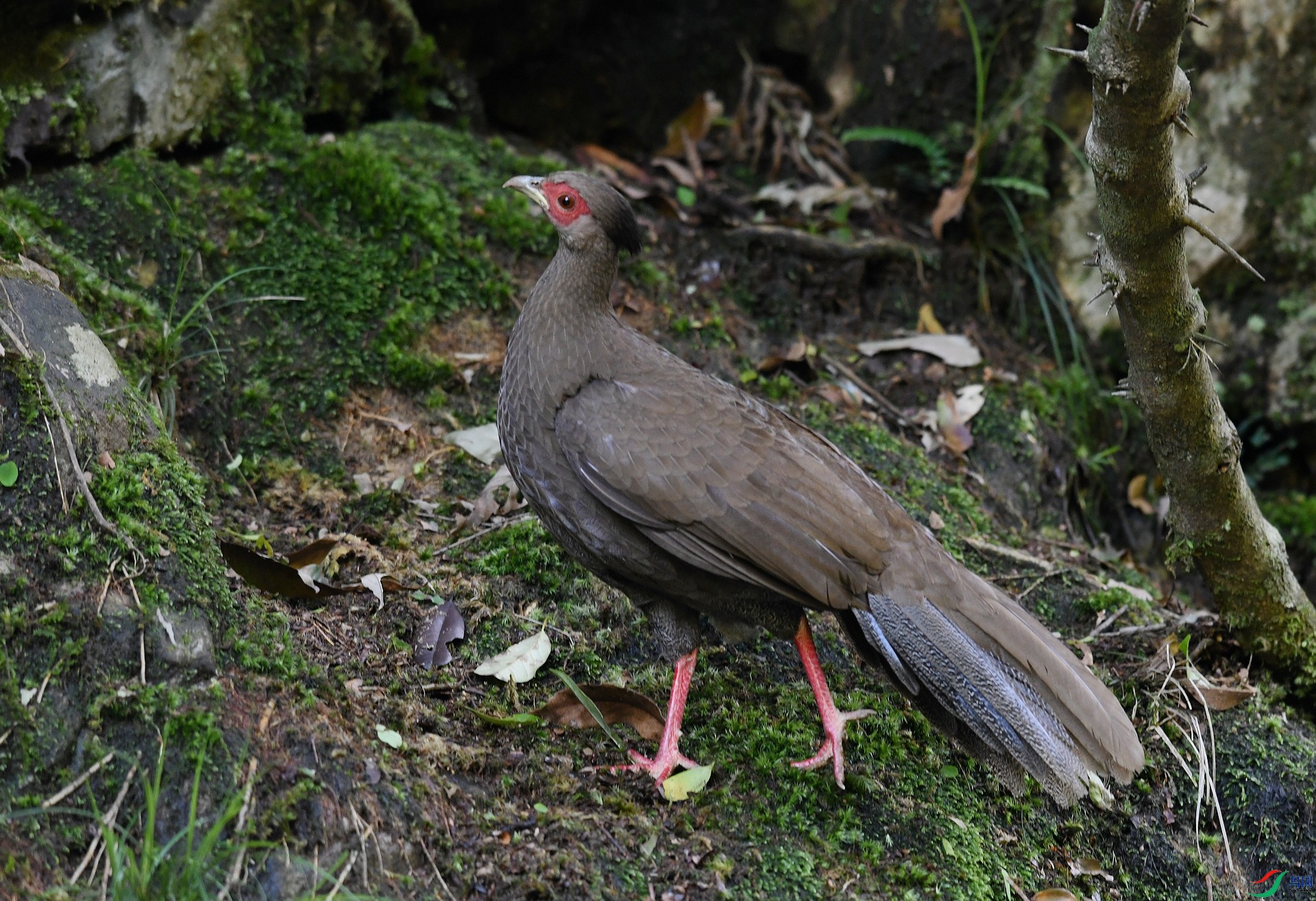 DSC_3747.jpg