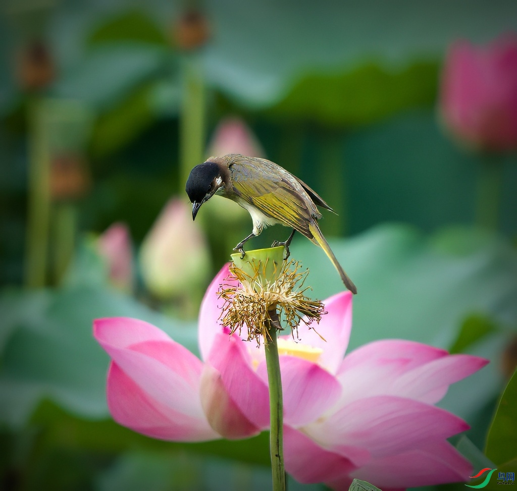 DSC05102_����-topaz-denoise-sharpen.jpg