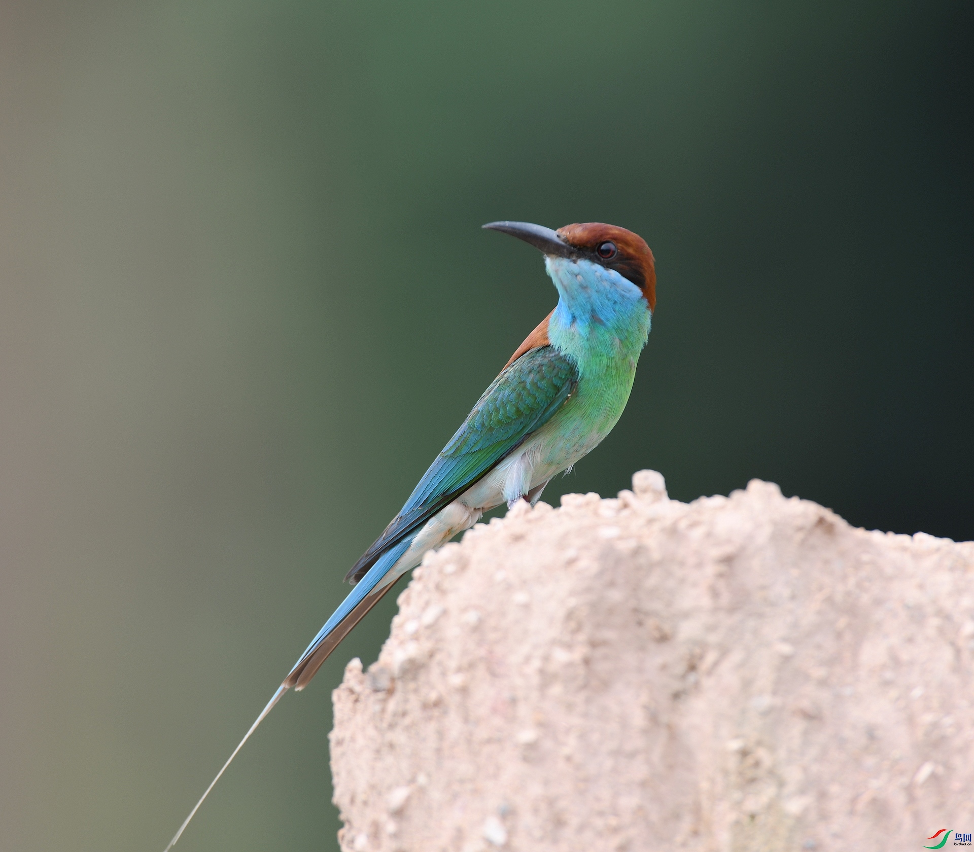 DSC_8725.jpg