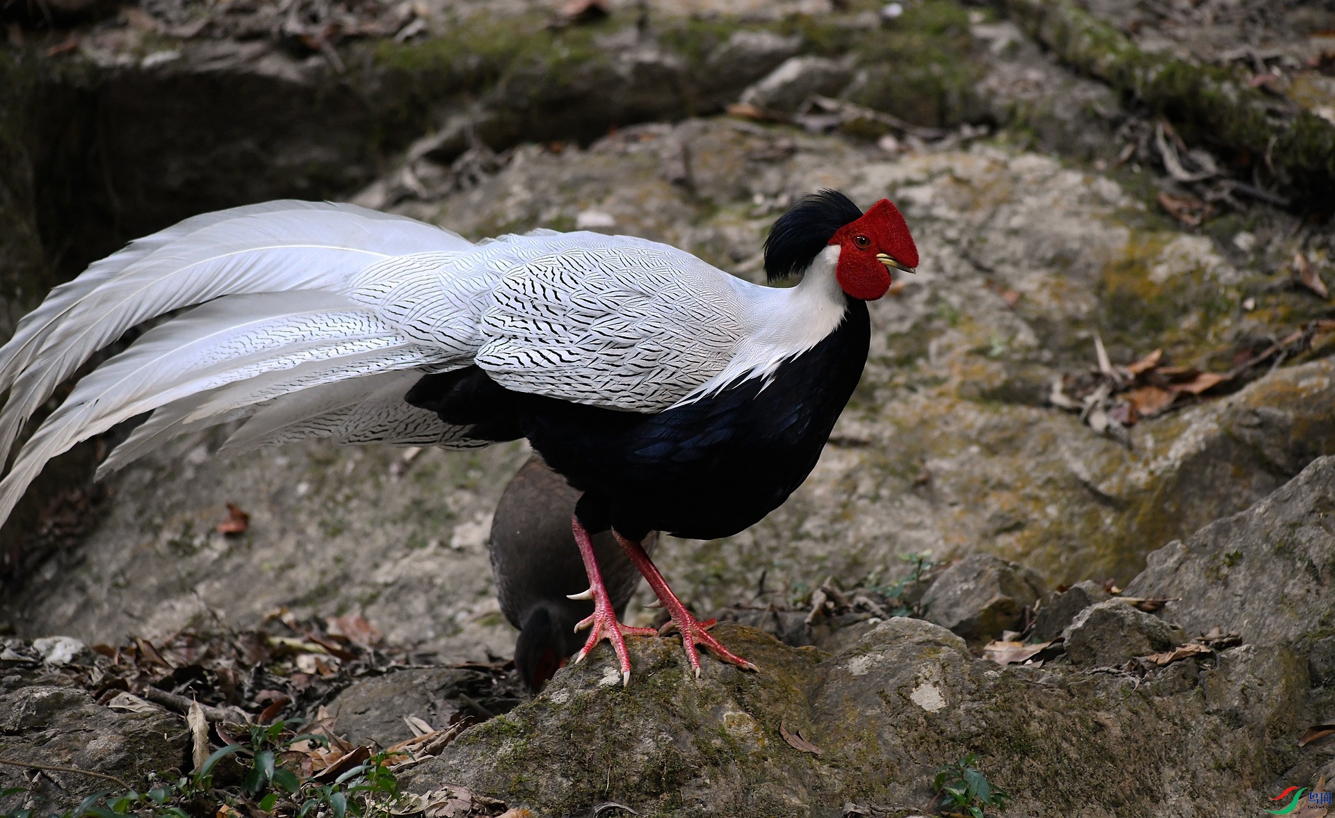 DSC_8782.jpg