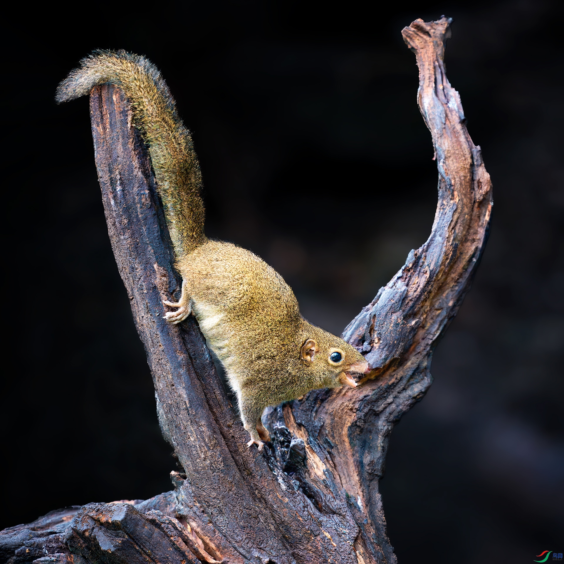 0_DSC6701-topaz-rawdenoise.jpg
