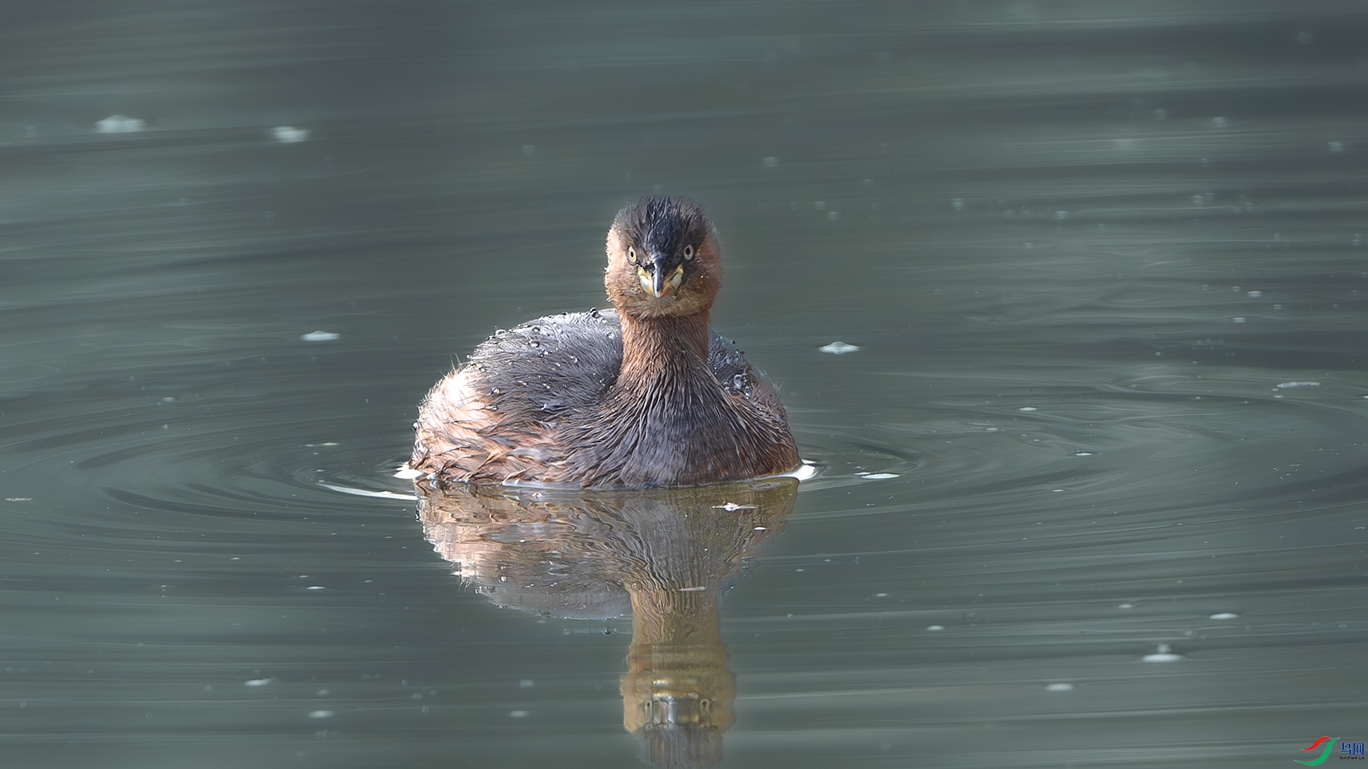 DSC_6538.jpg