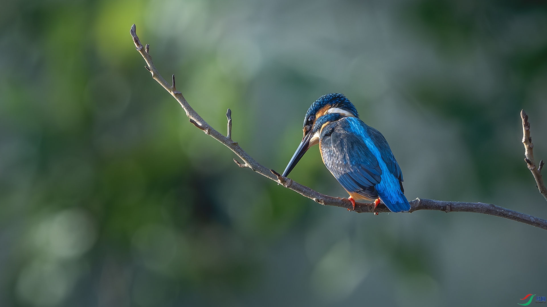 DSC_6558-����ǿ-NR ����.jpg