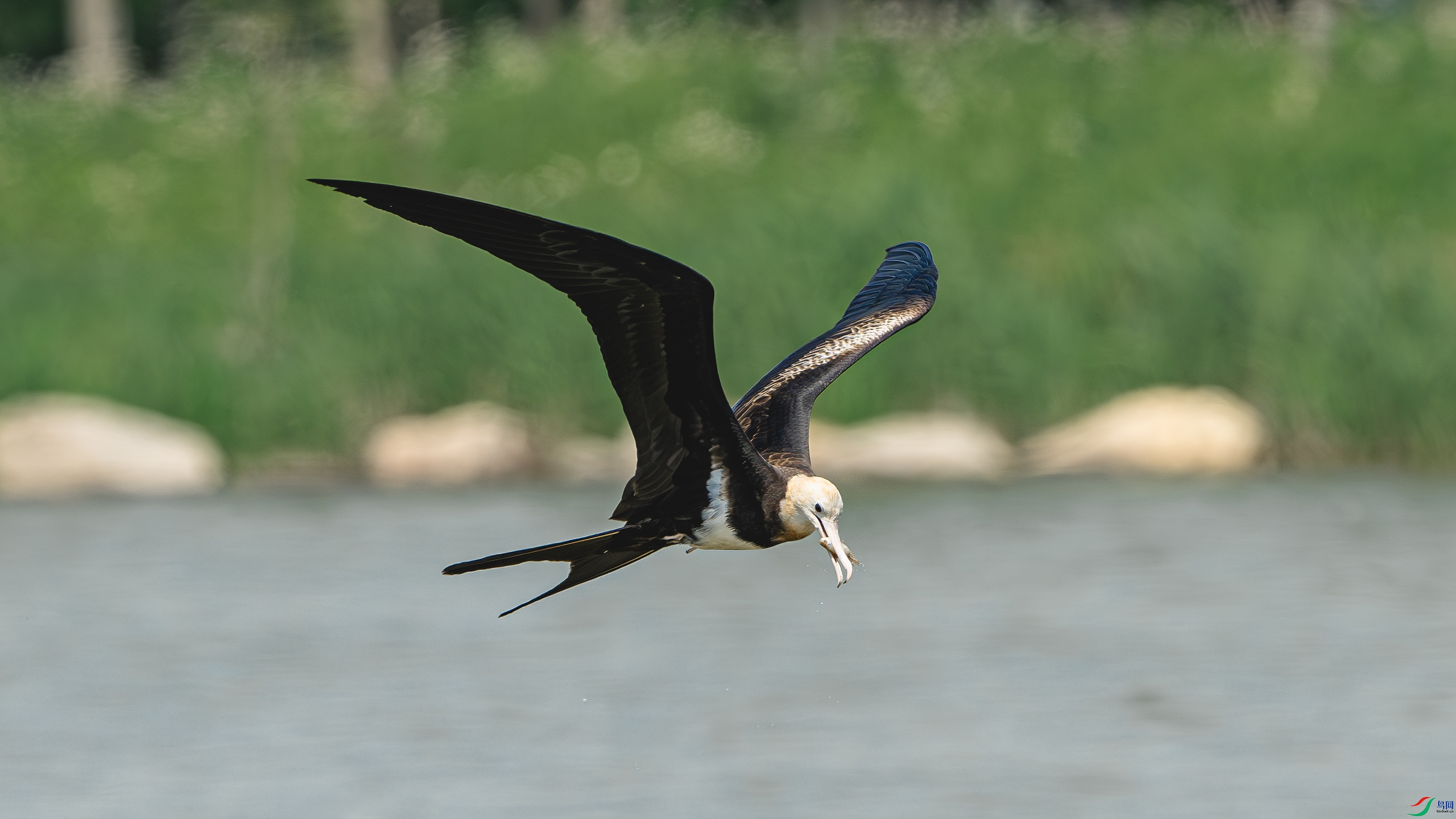 DSC_7760-����ǿ-NR ����.jpg