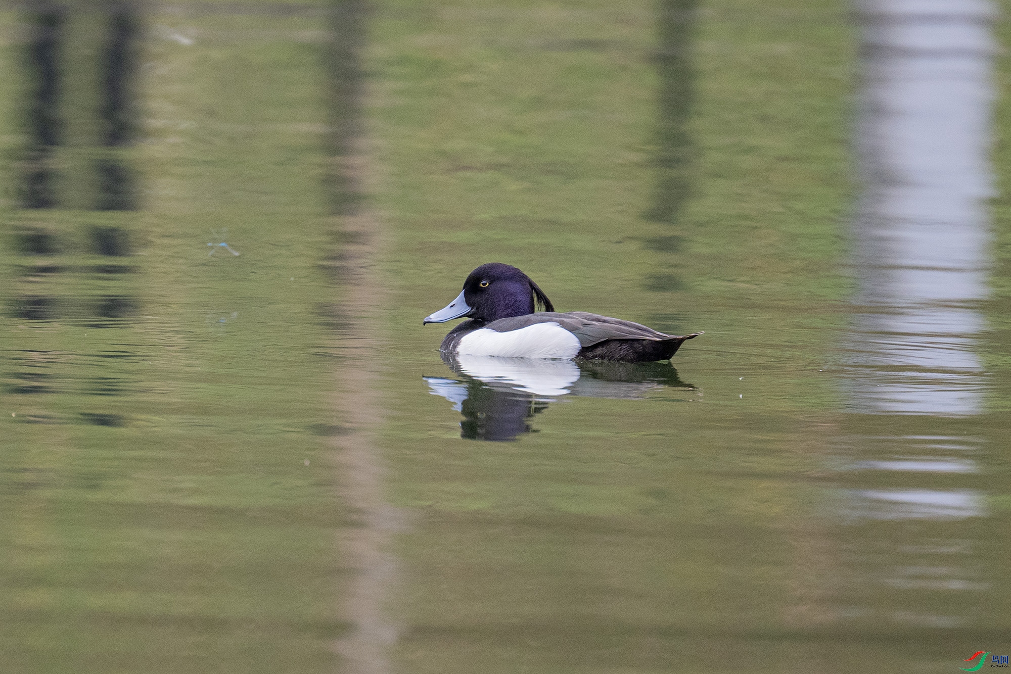 DSC_5138.jpg