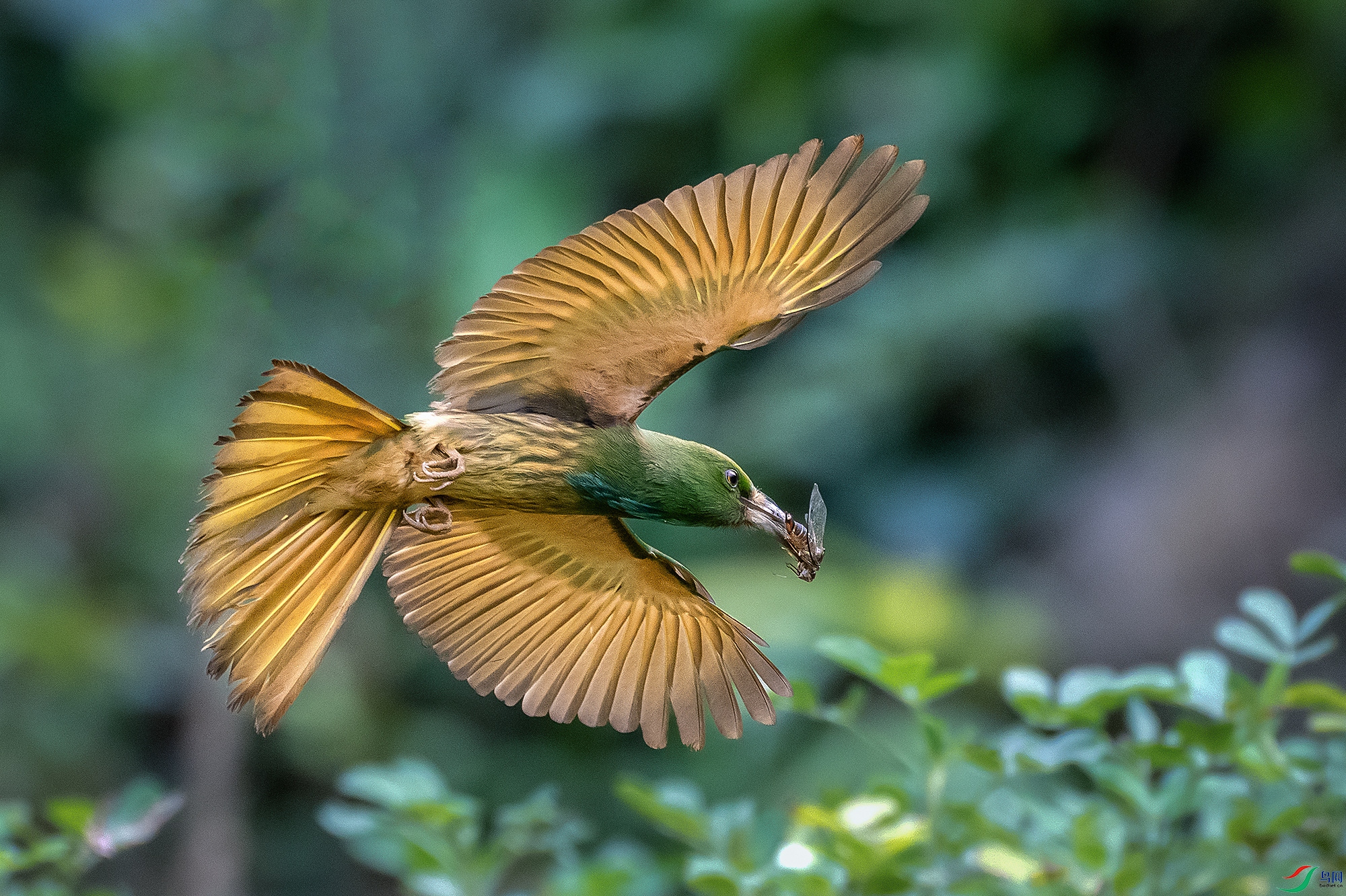 DSC_4769-1.jpg