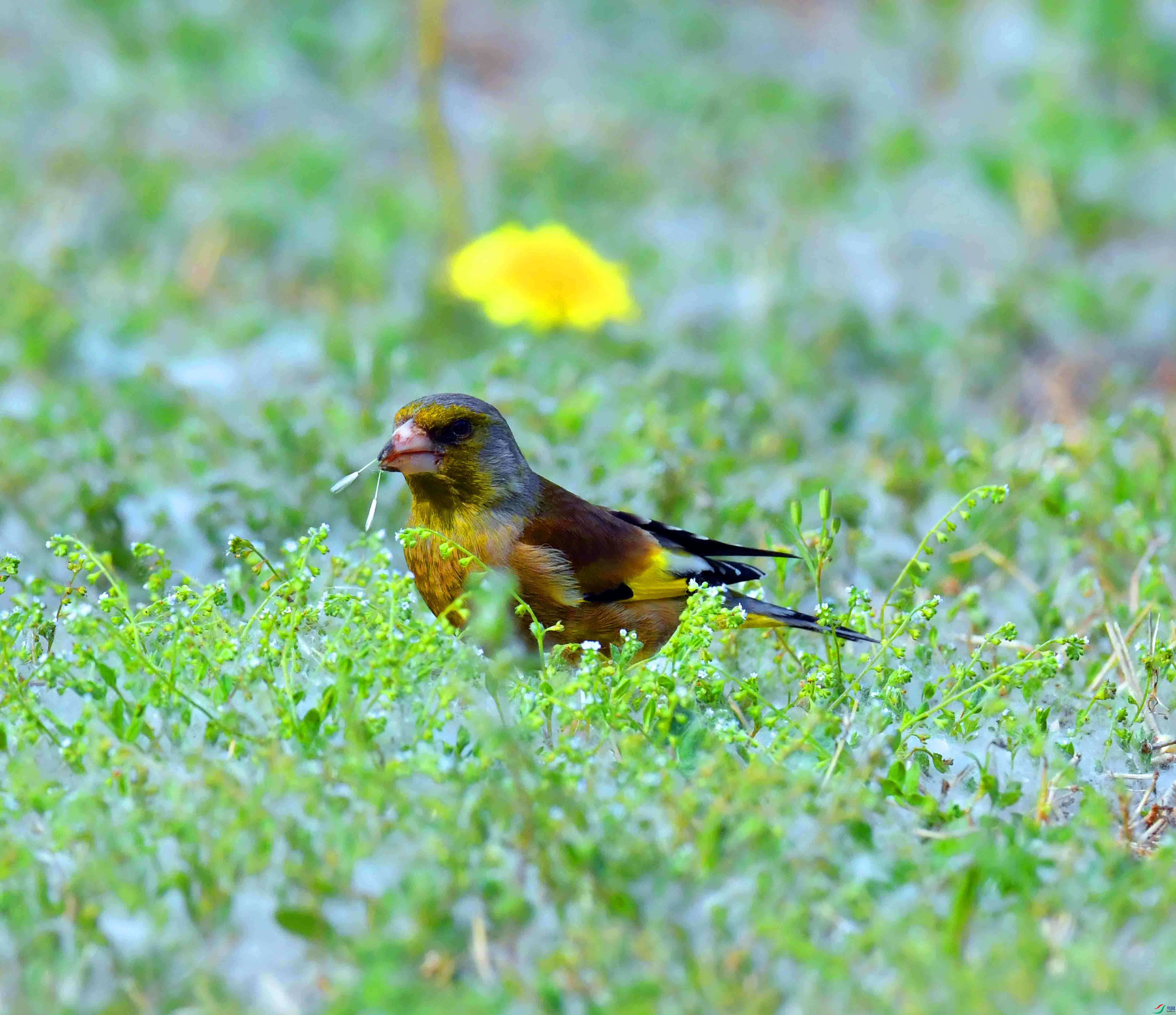 DSC_9541.JPG
