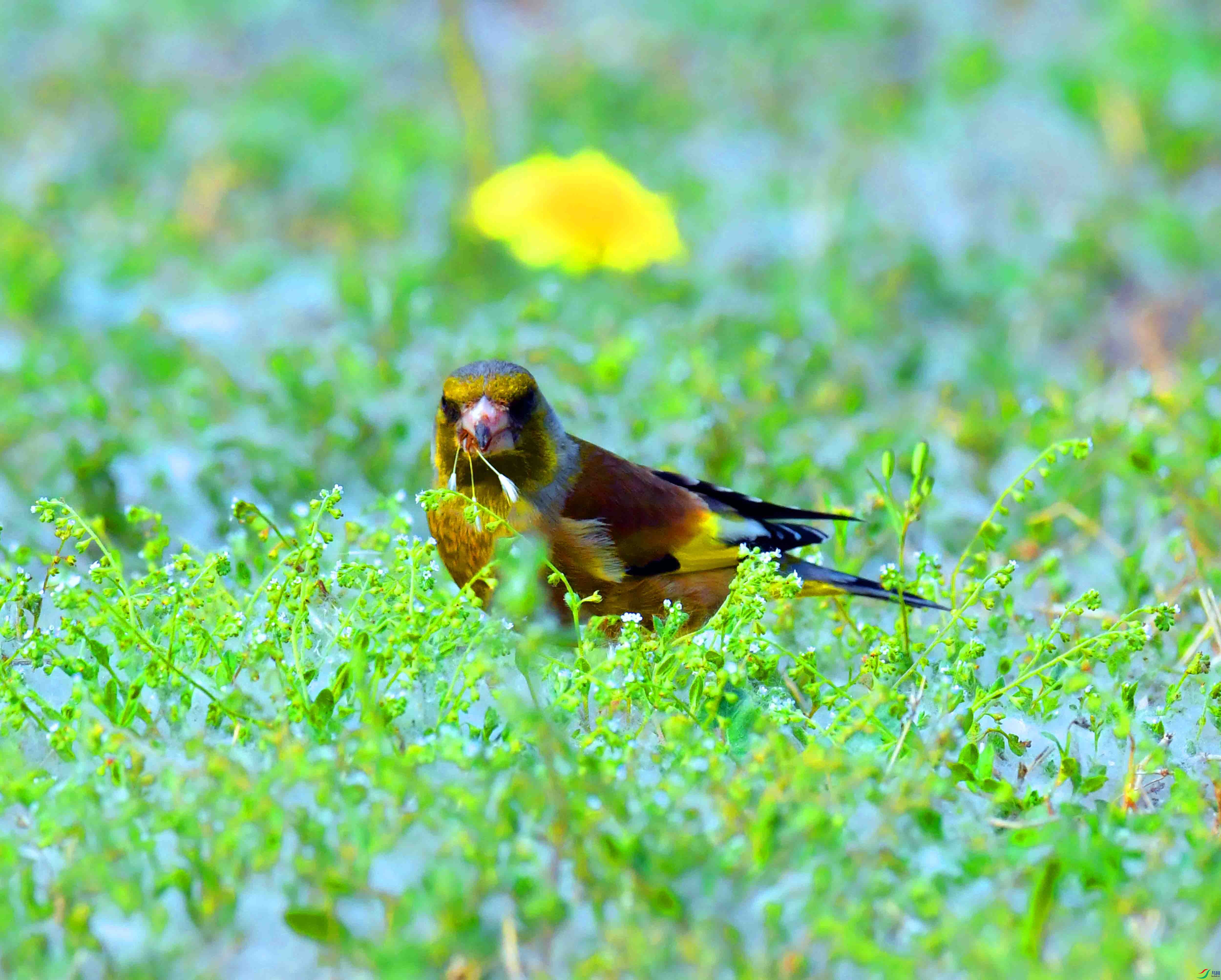 DSC_9547.JPG