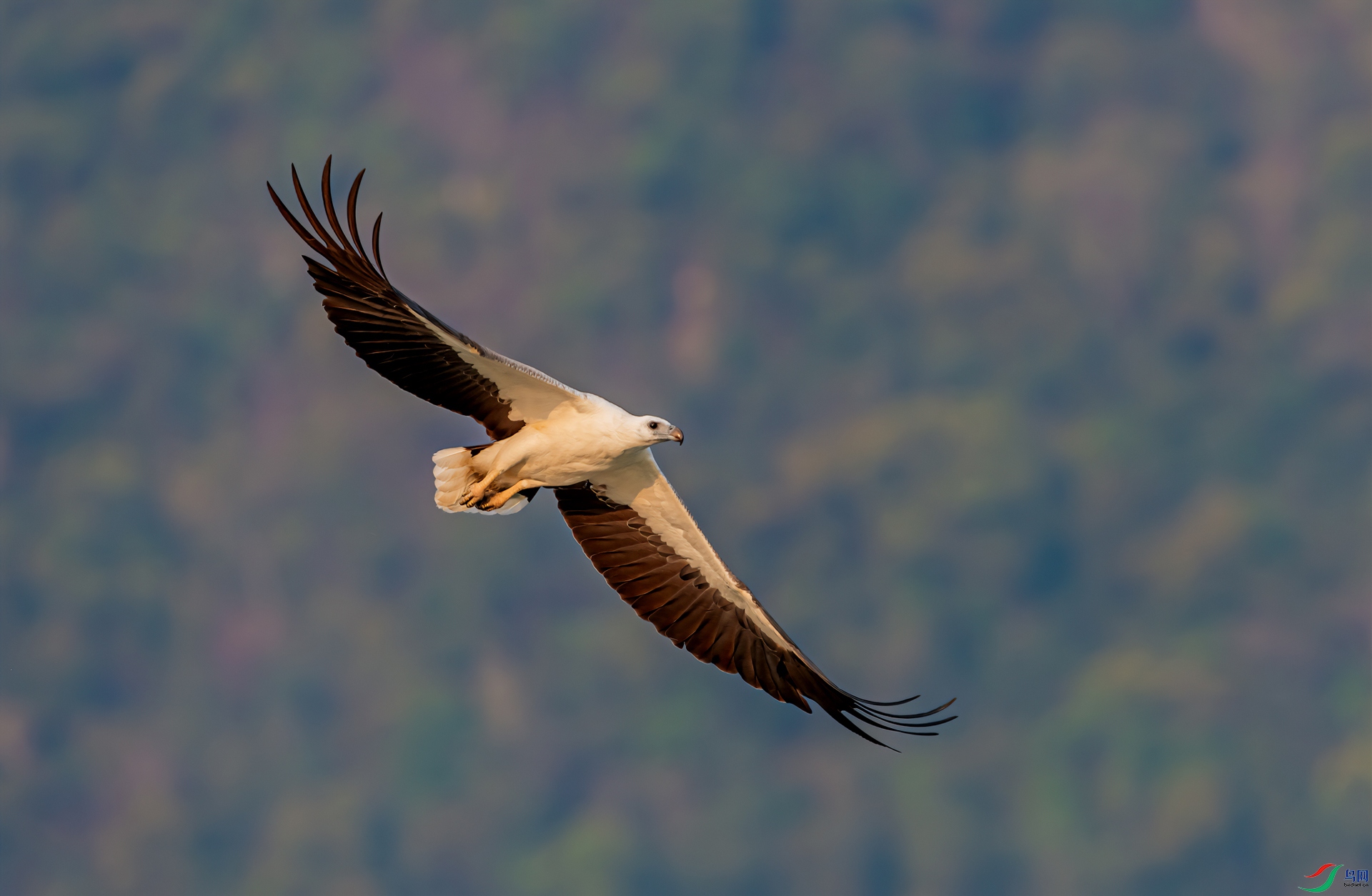 _DSC3912-1.jpg