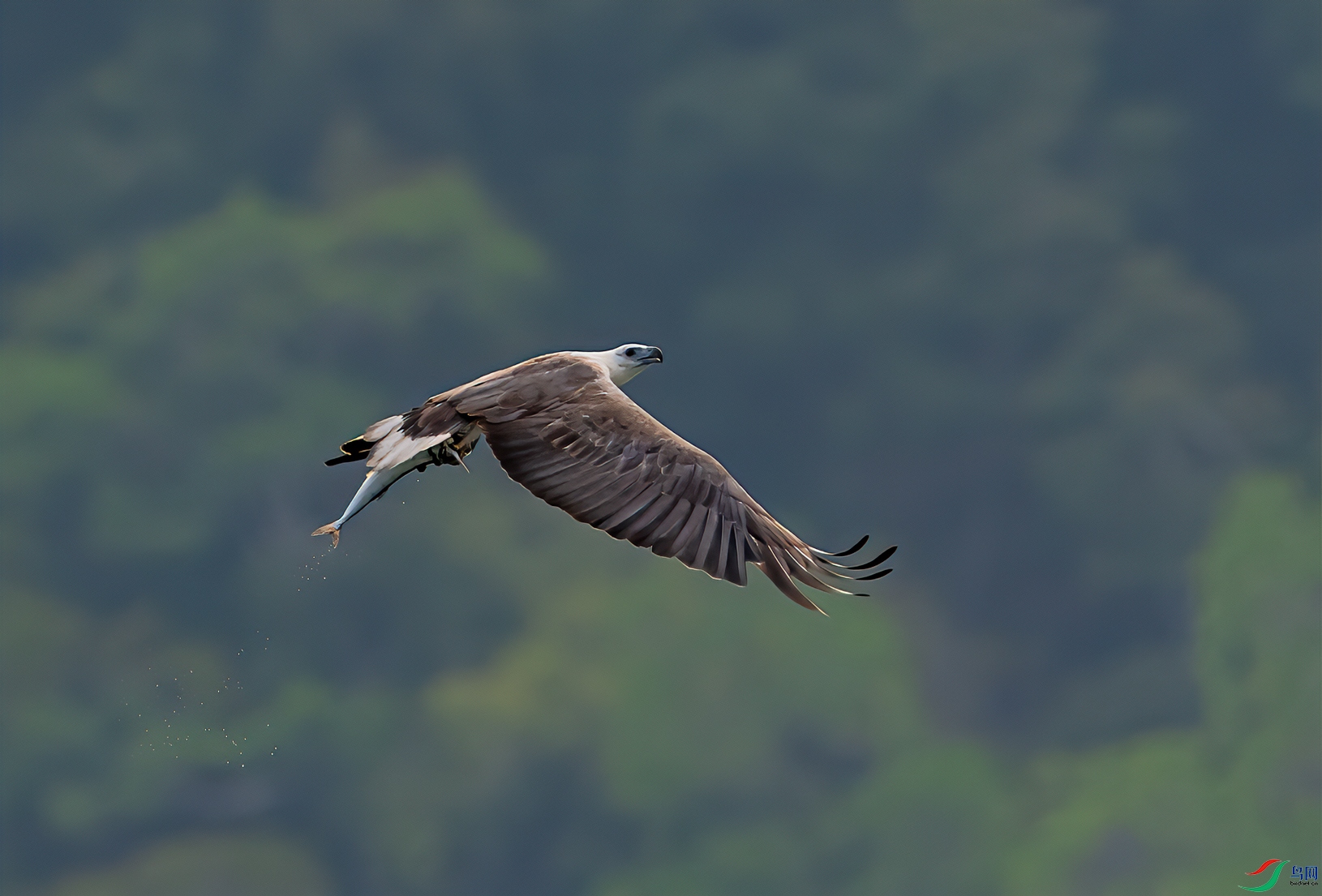 _DSC5187-1.jpg