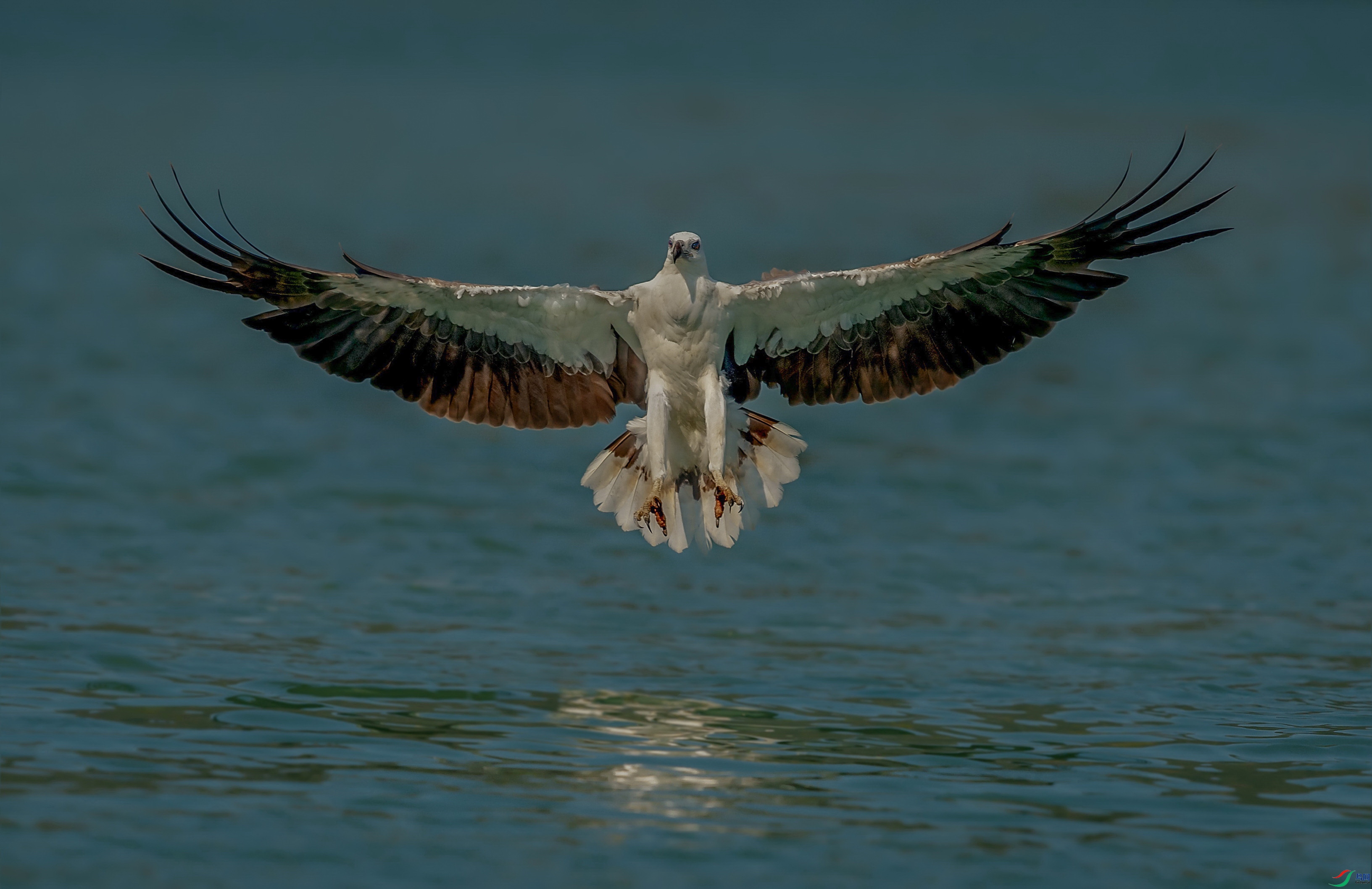 _DSC7721z.jpg
