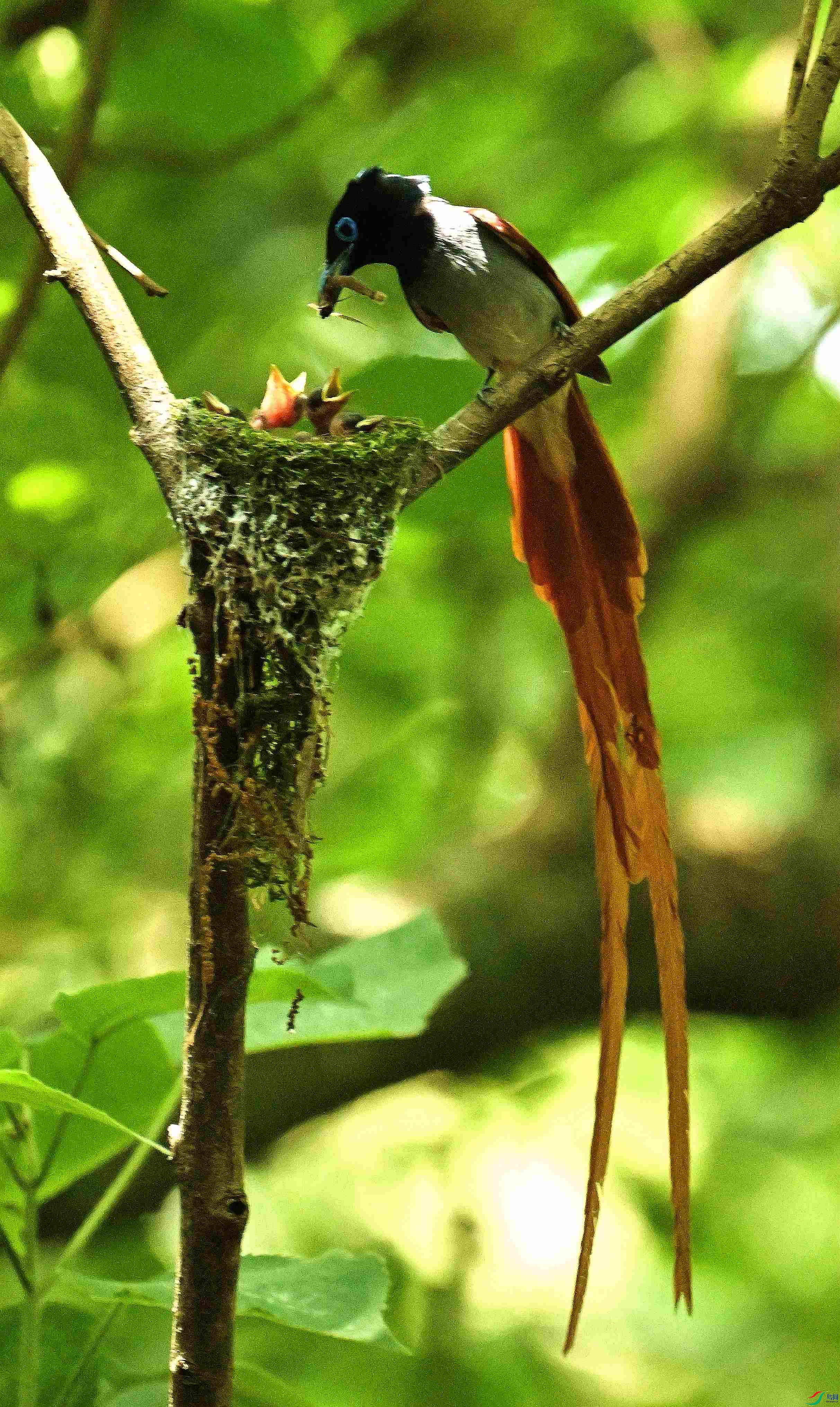 DSC_2030.JPG