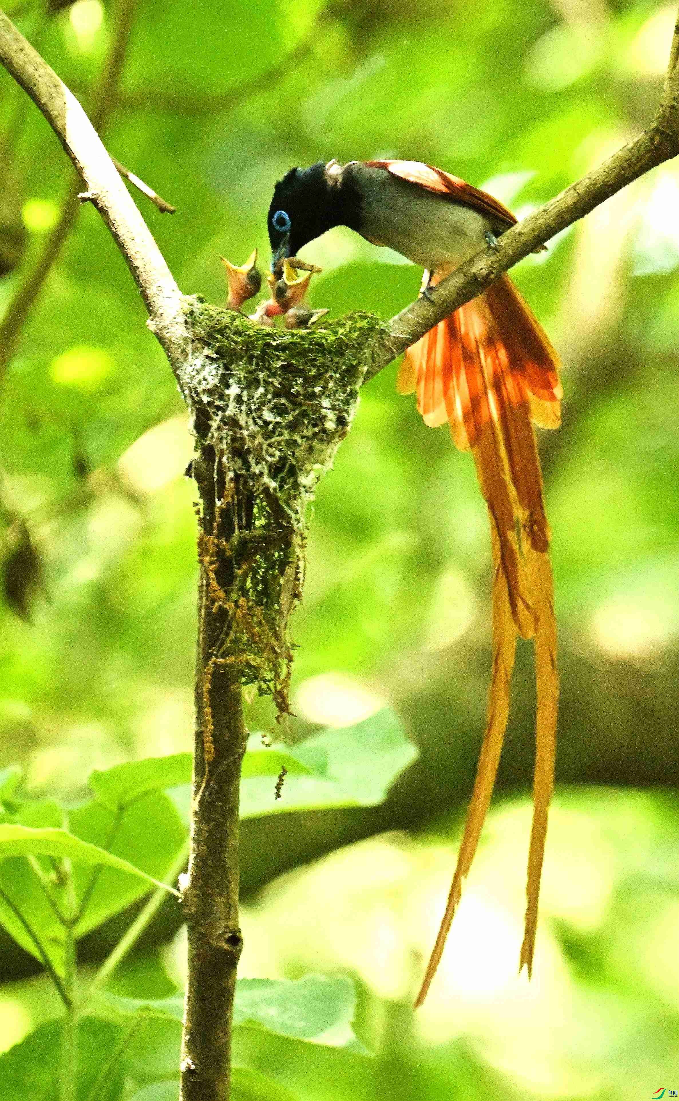 DSC_2039.JPG
