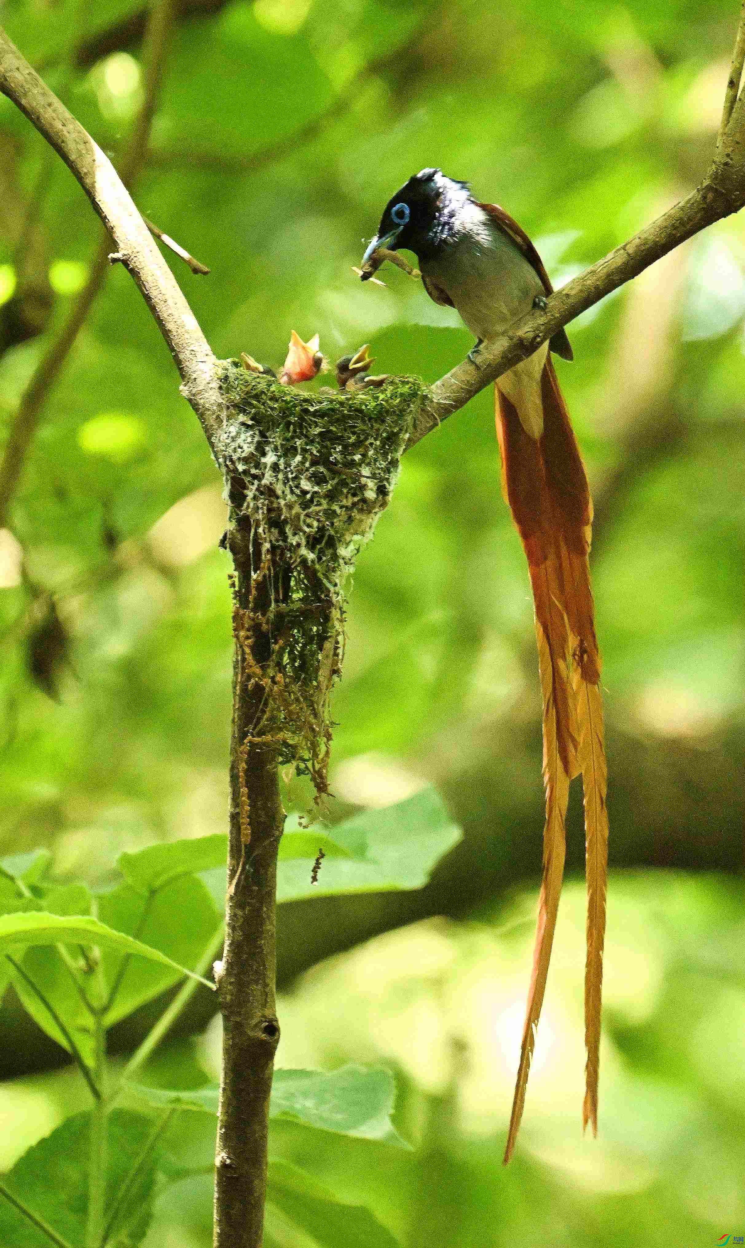 DSC_2027.JPG