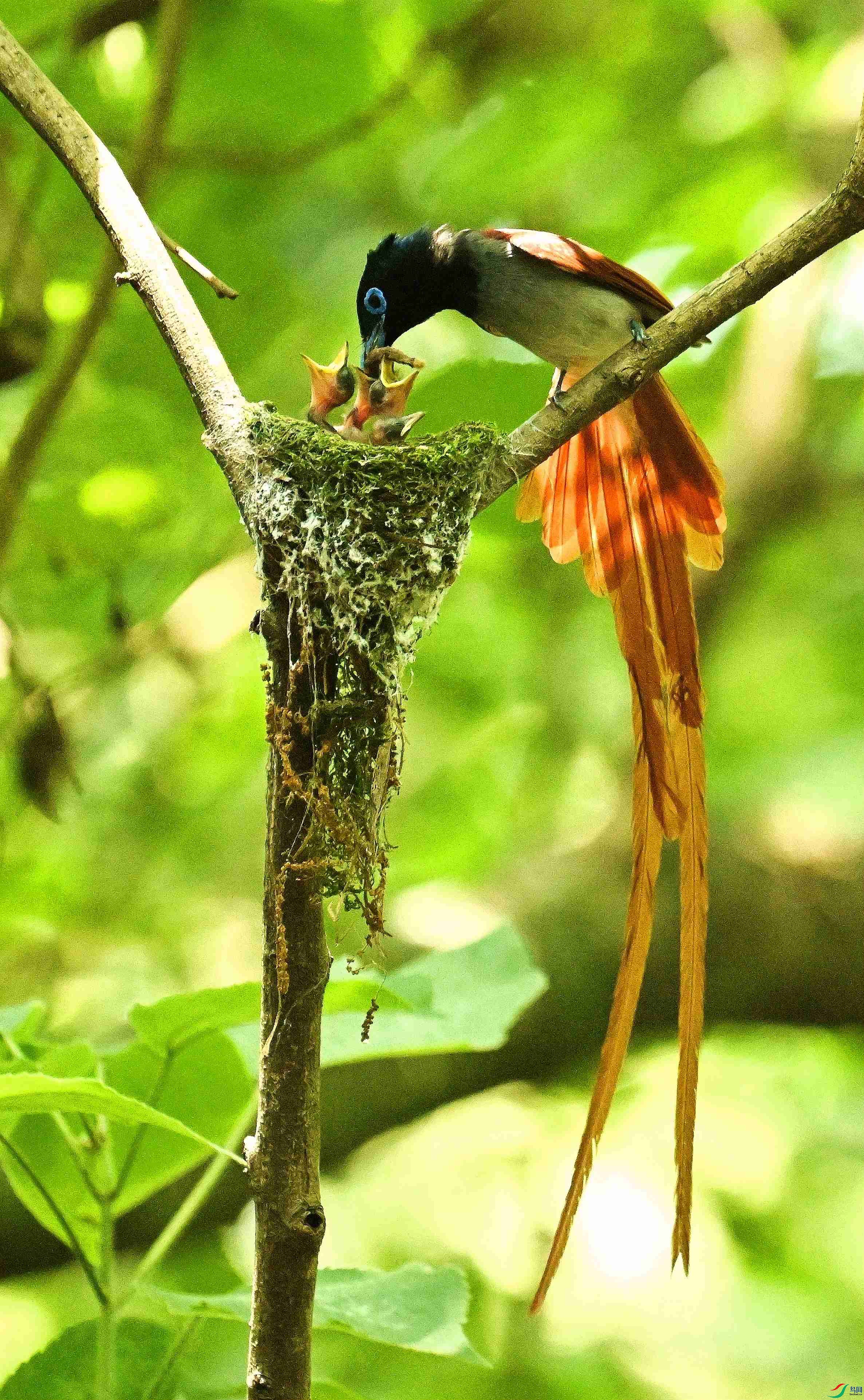 DSC_2040.JPG