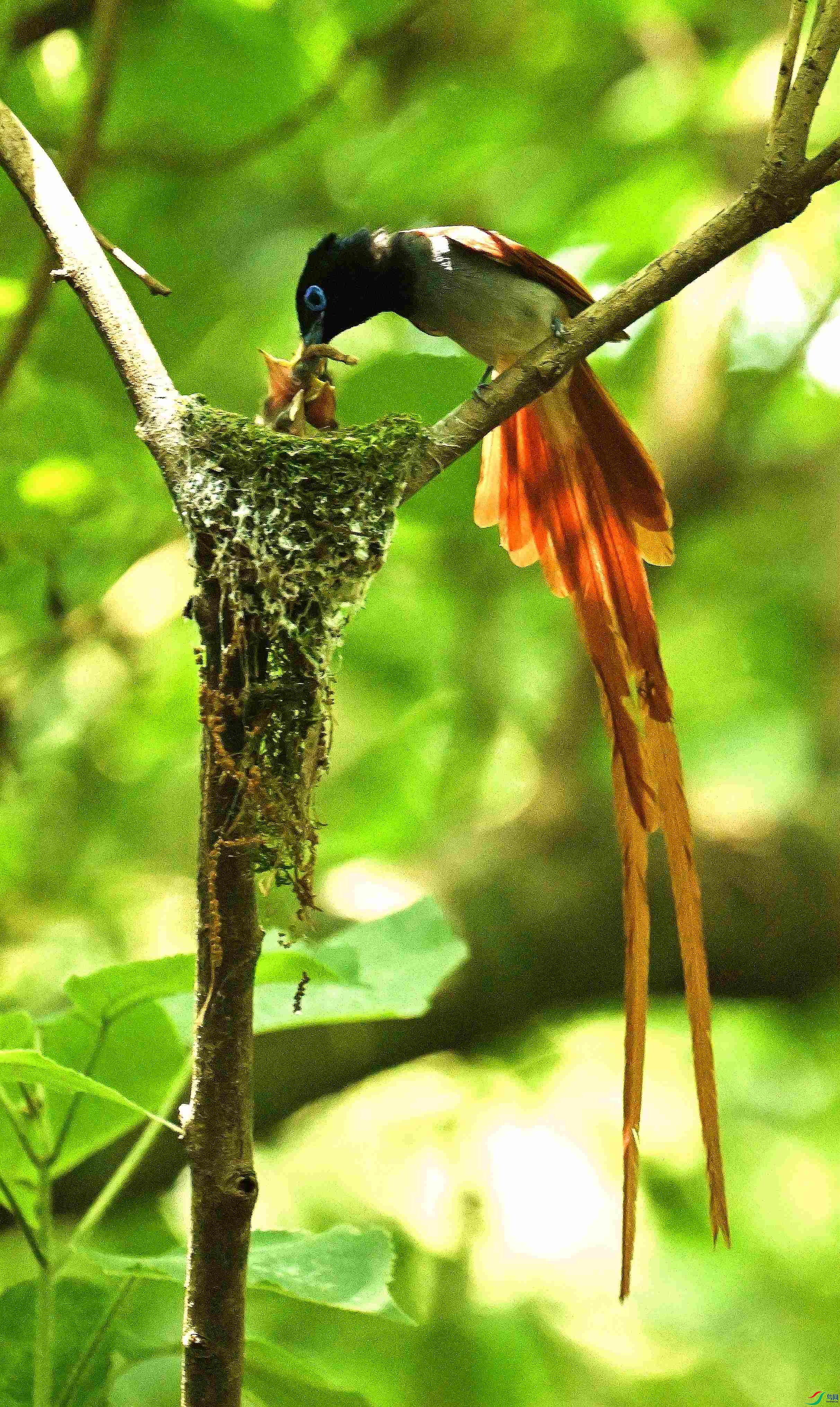 DSC_2047.JPG