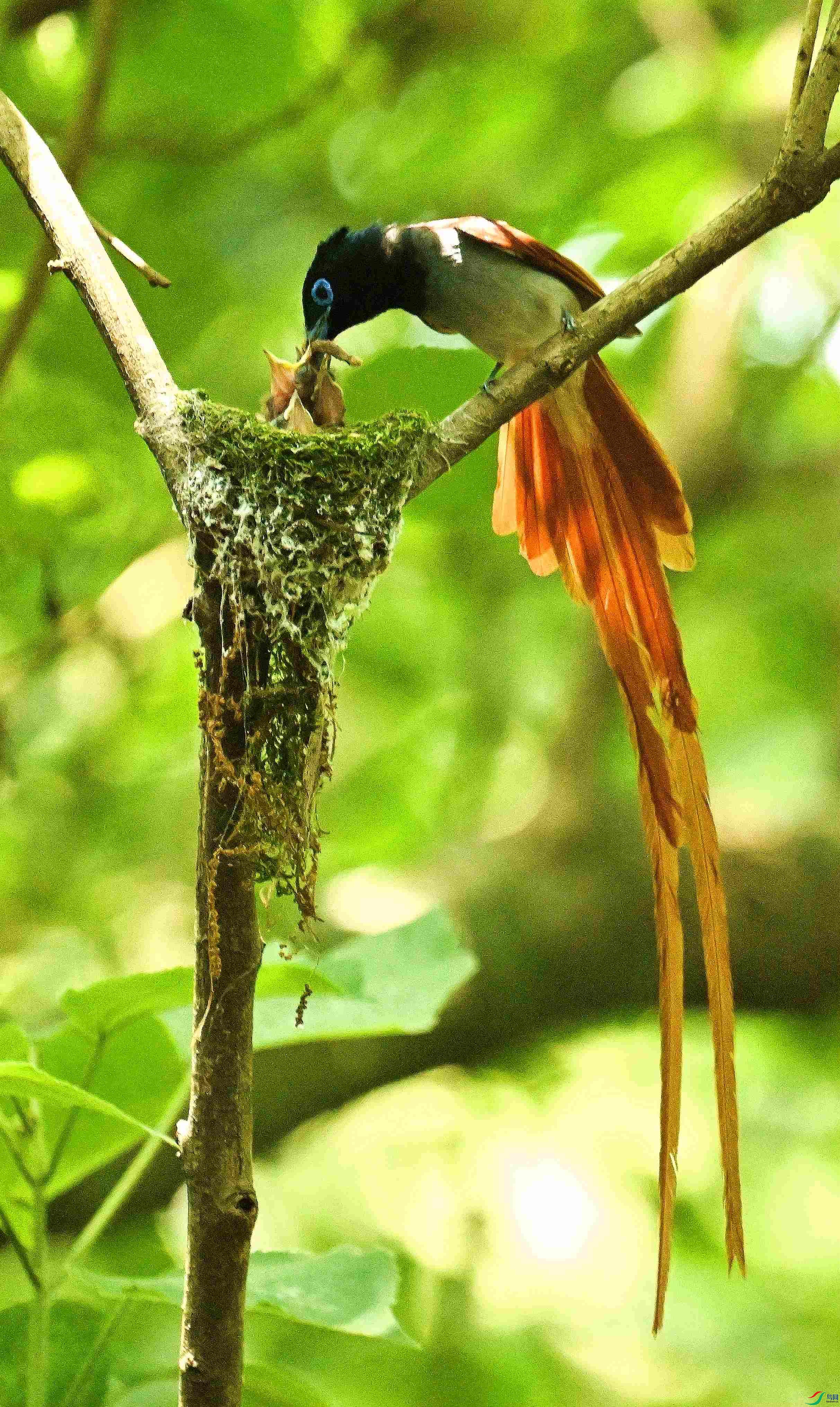 DSC_2059.JPG
