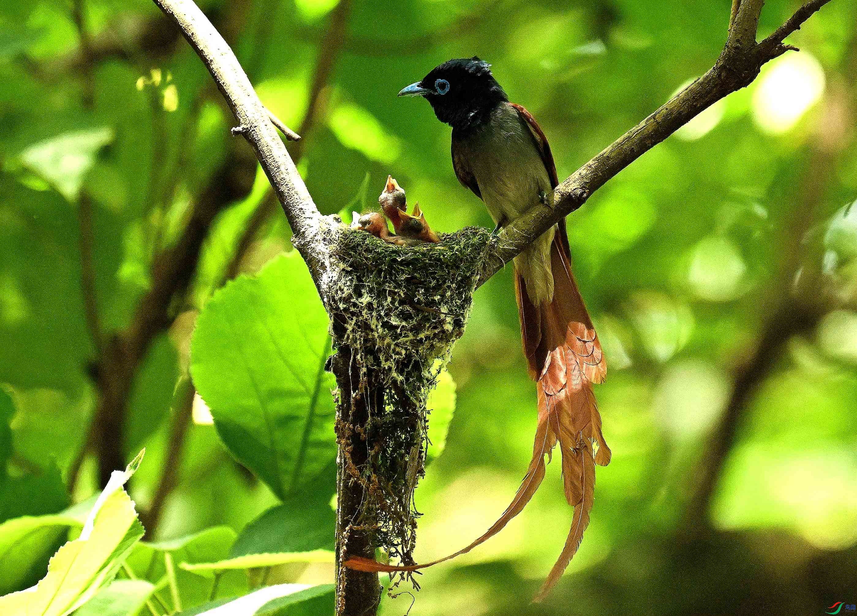 DSC_2582.JPG