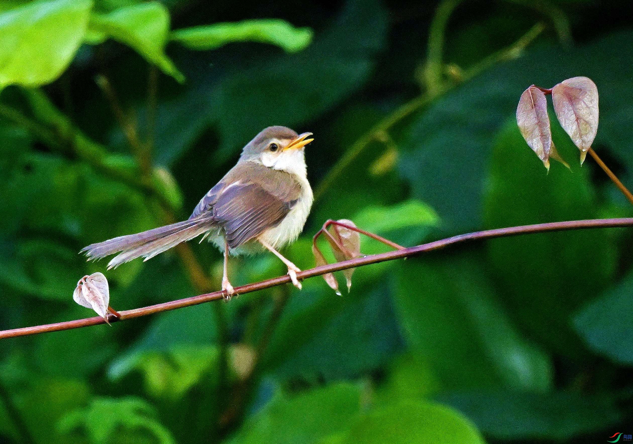 DSC_0495.JPG