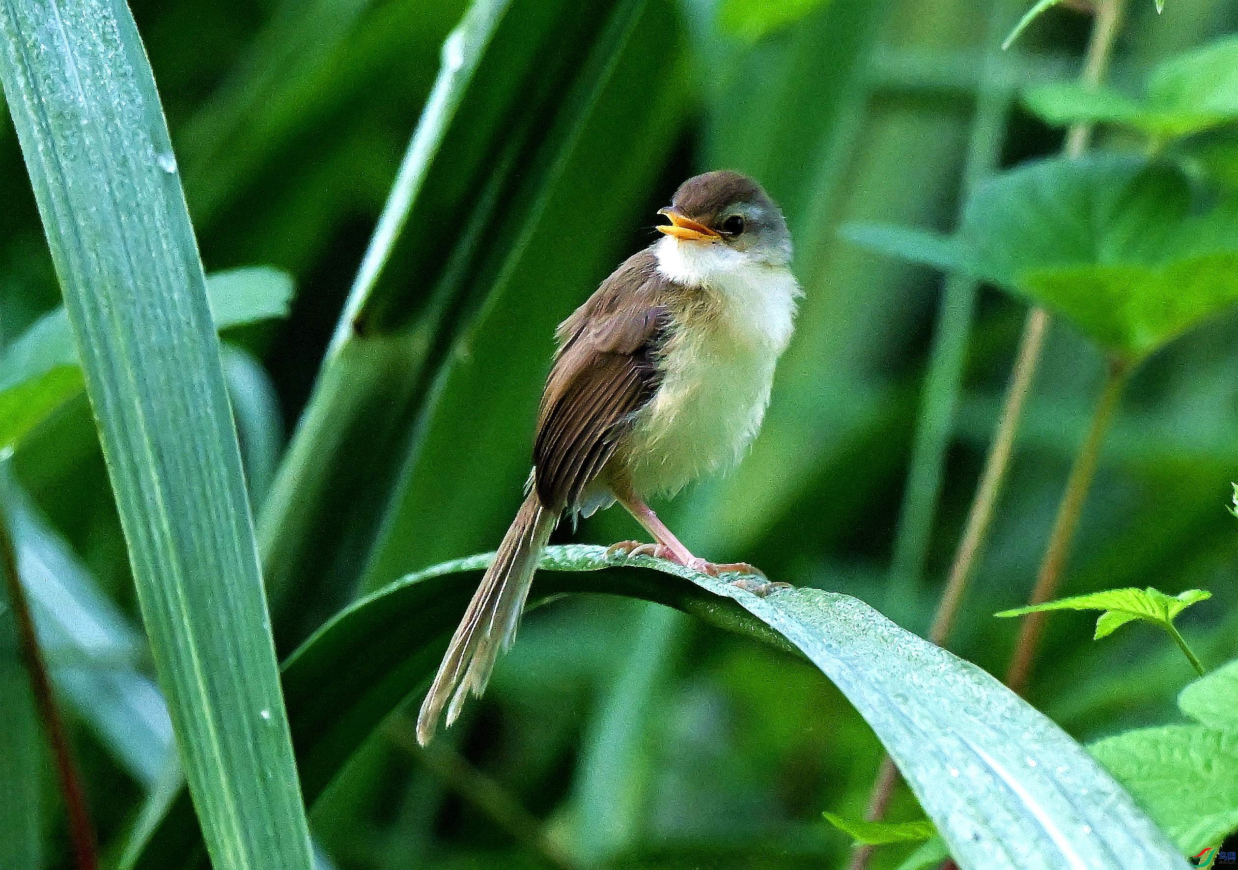 DSC_1015.JPG