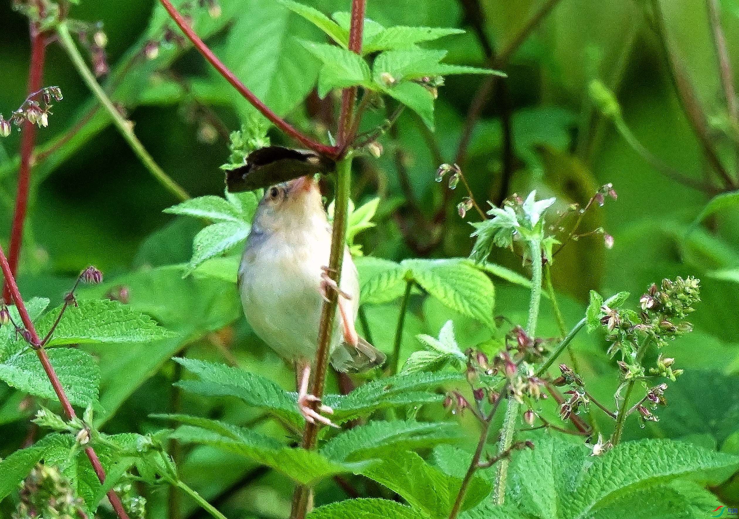 DSC_1259.JPG