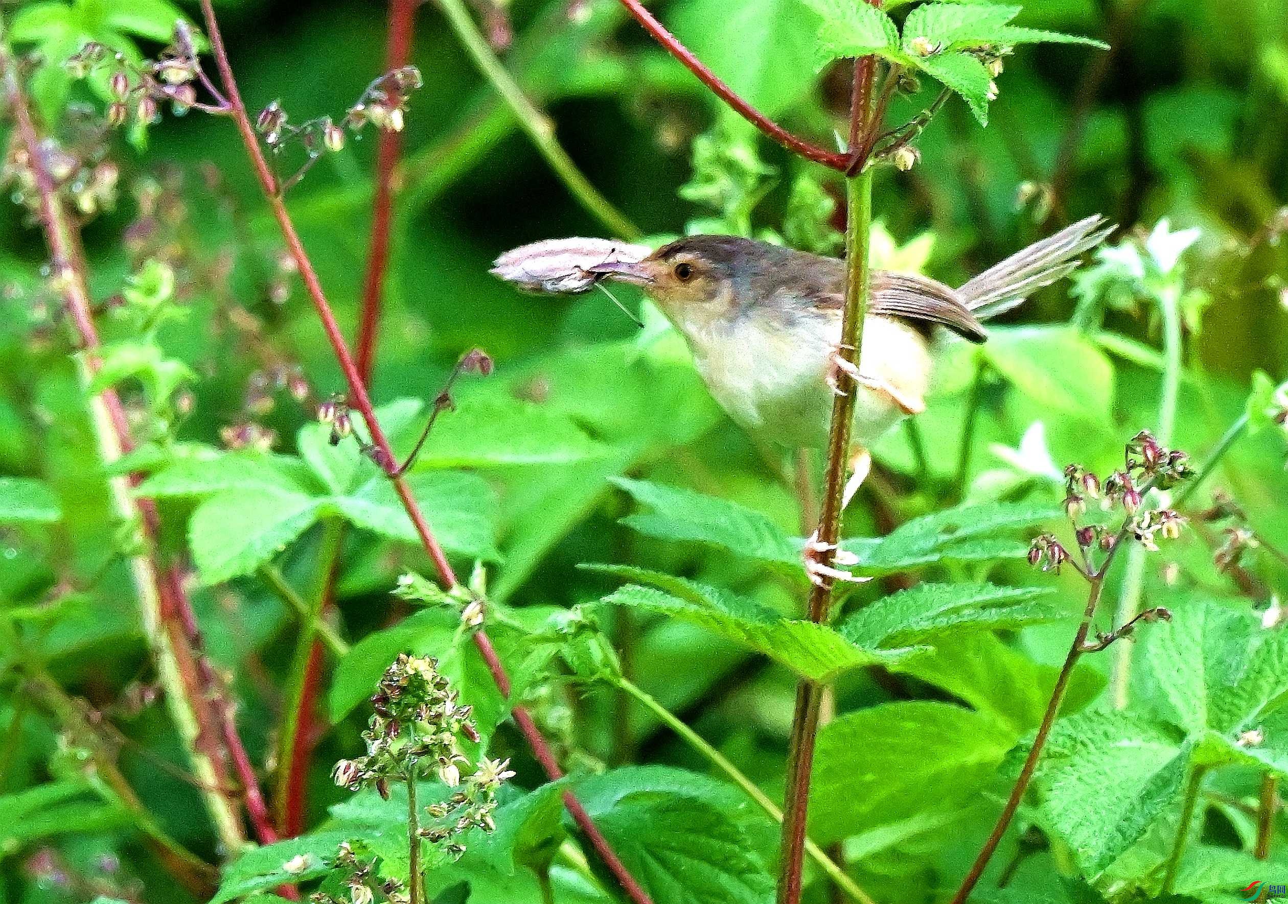 DSC_1241.JPG