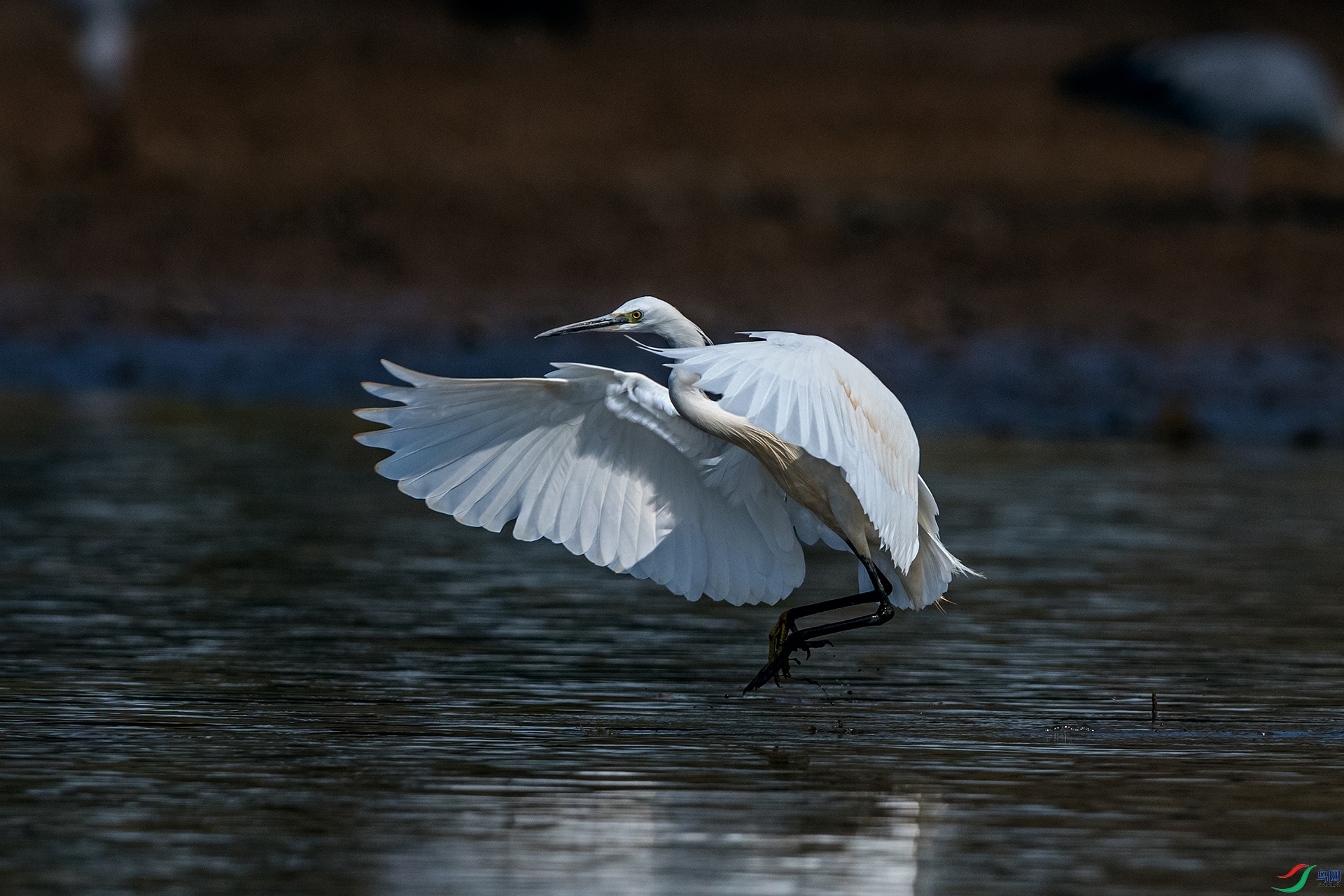 _AUU6541 С����(25.2.15).jpg