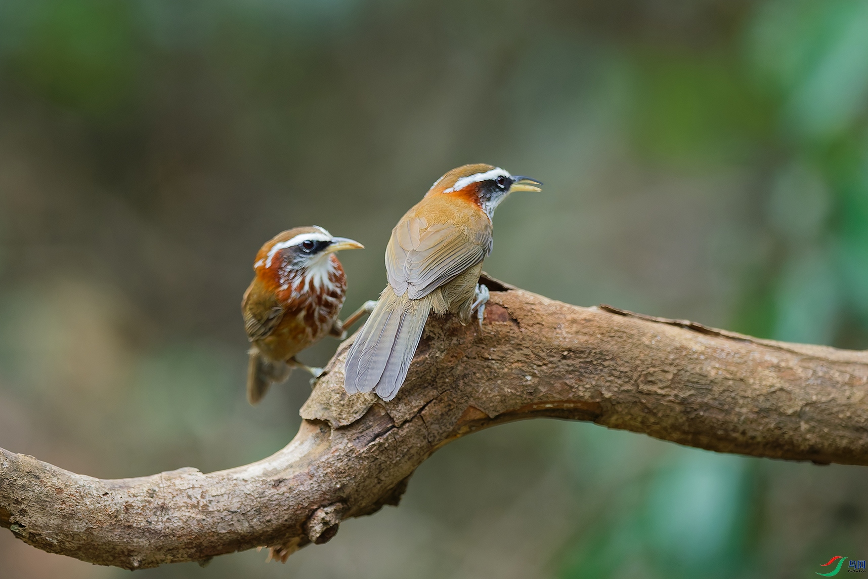 DSC_9621_DxO_DxOaa.jpg