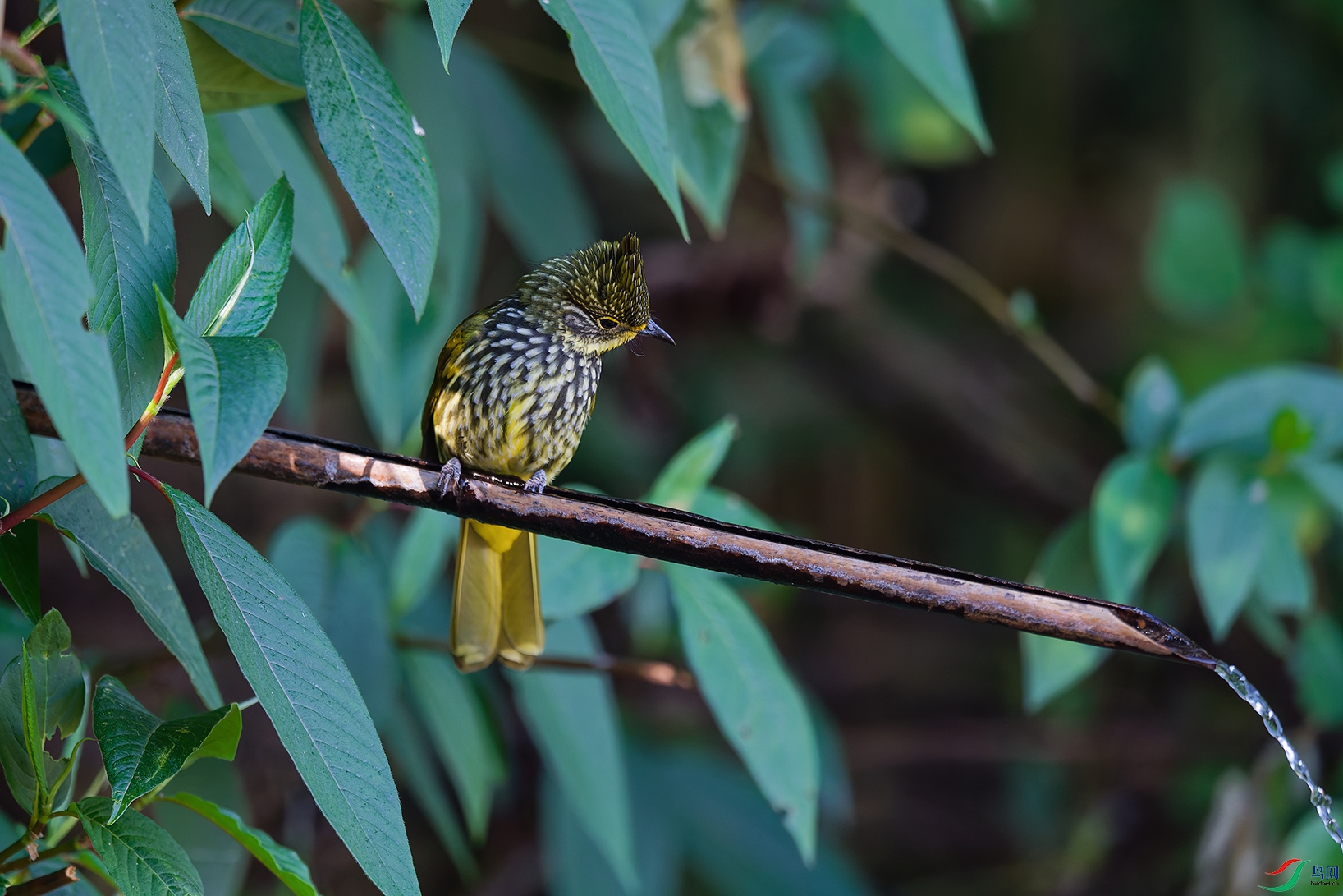 DSC_2998_DxO_DxOa.jpg