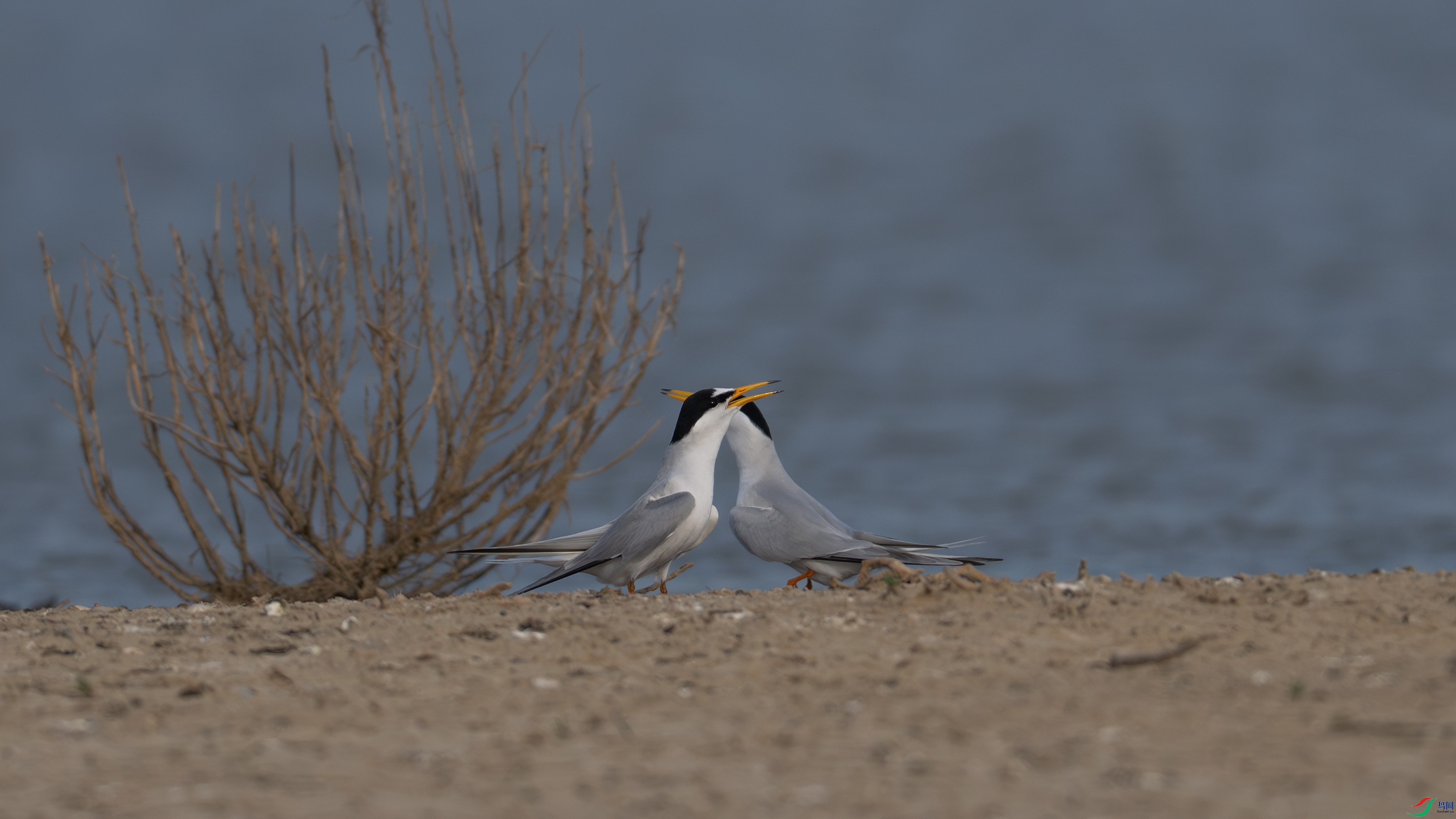 DSC_1858.jpg