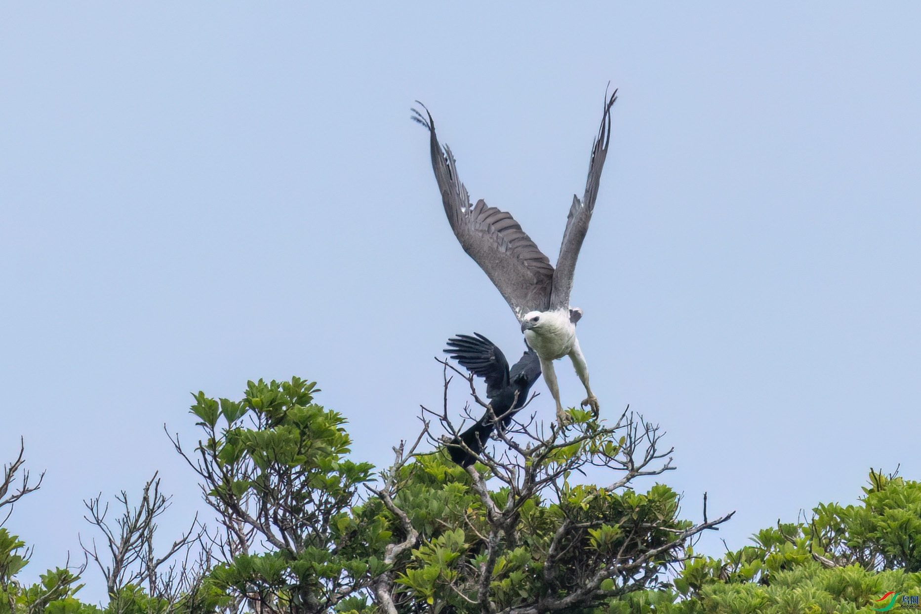 127A8535 ����n.jpg