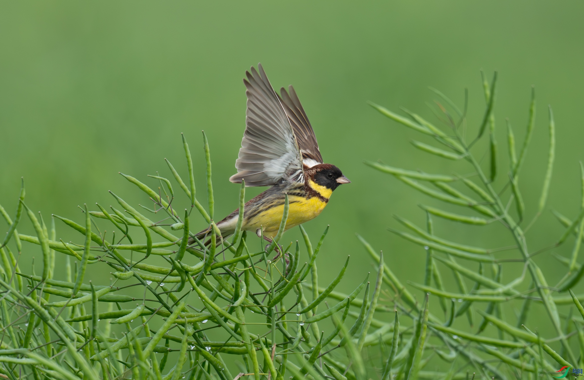 DSC_3475.jpg