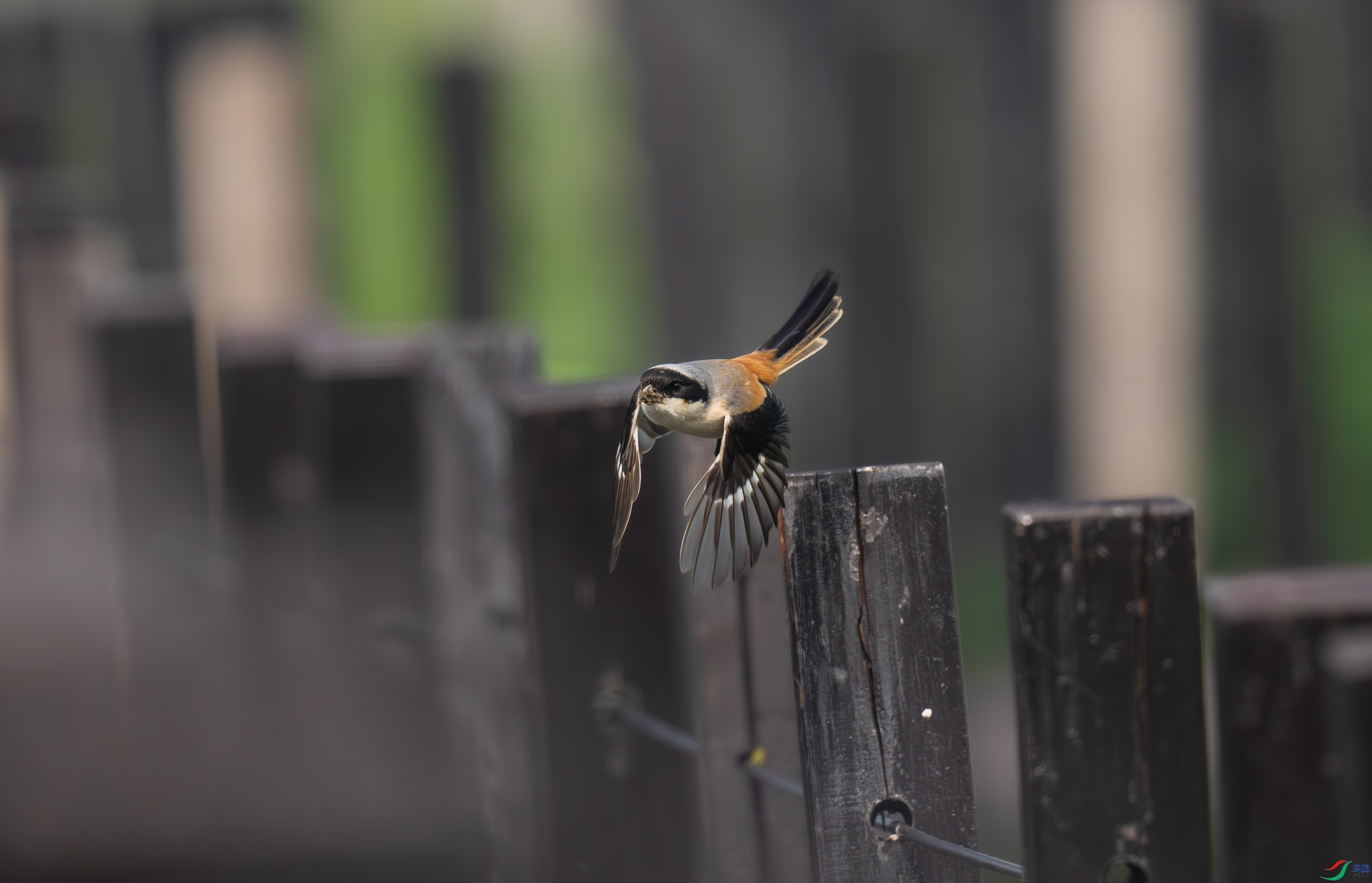 DSC_3620.jpg