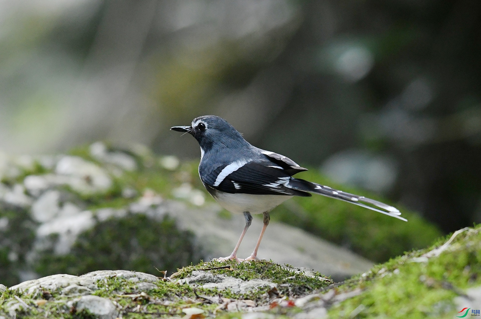 DSC_3594.jpg