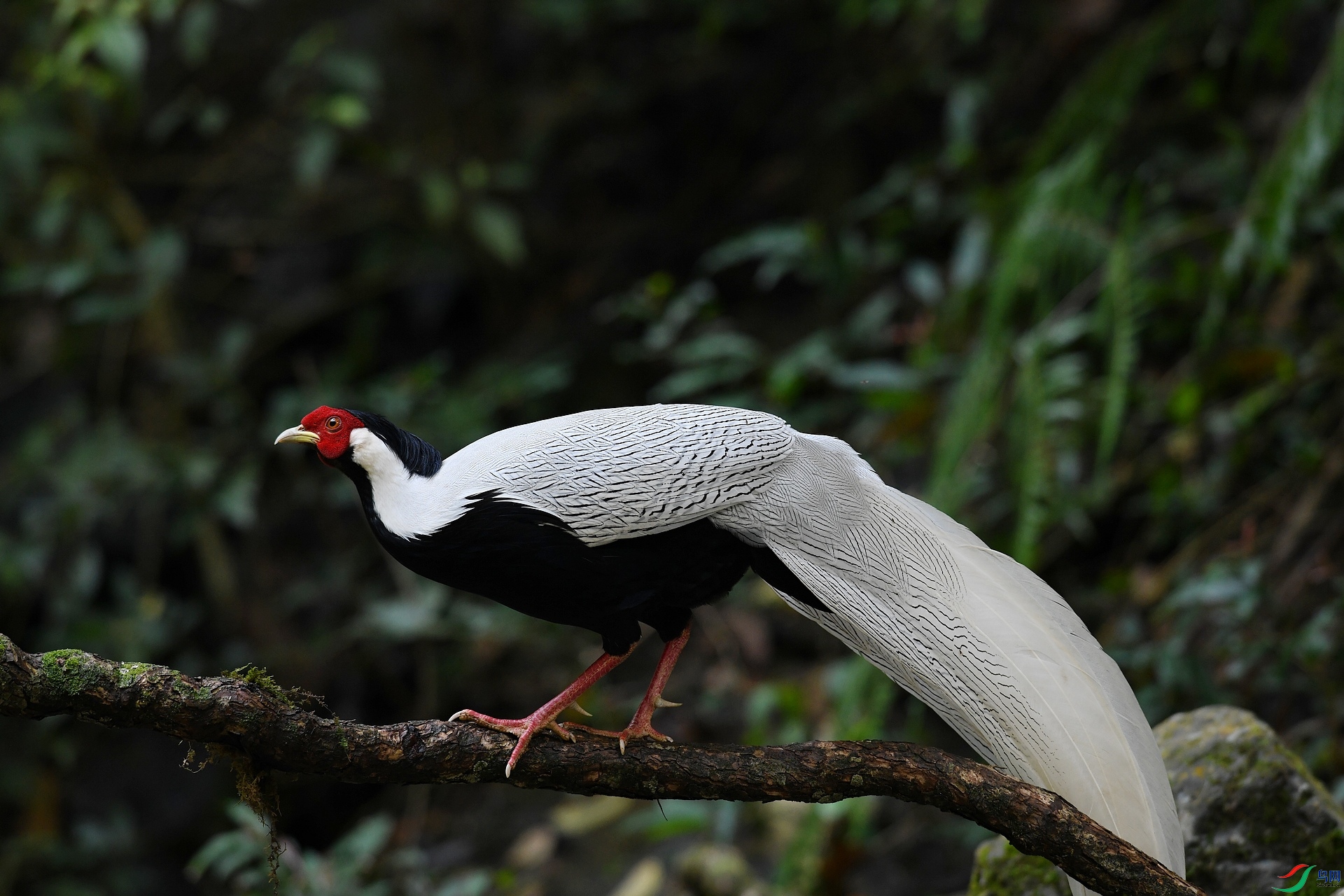 DSC_8789.jpg