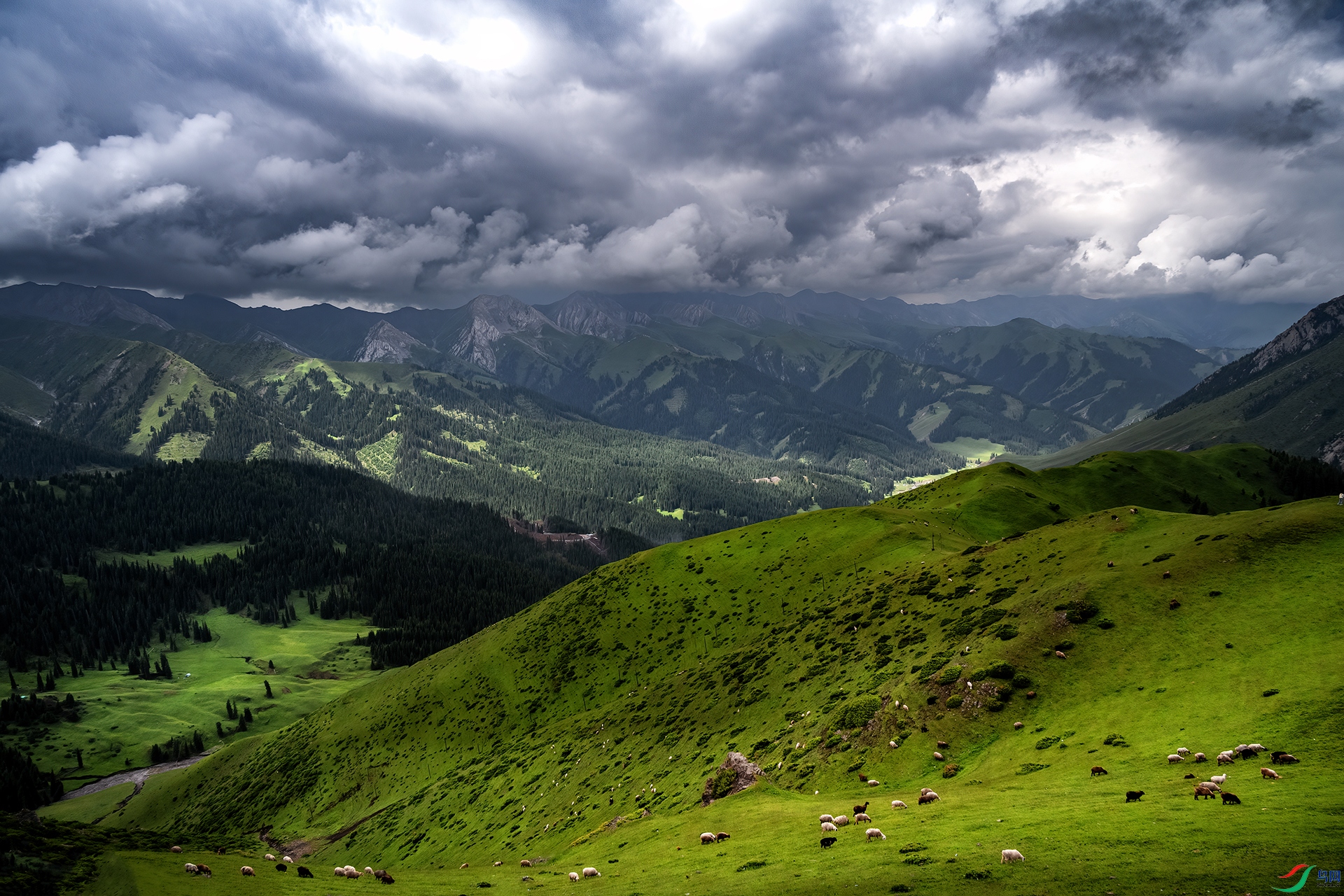 DSC_7759-1.jpg