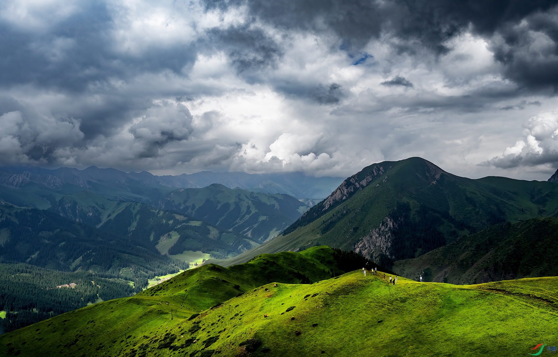 DSC_7760-1.jpg