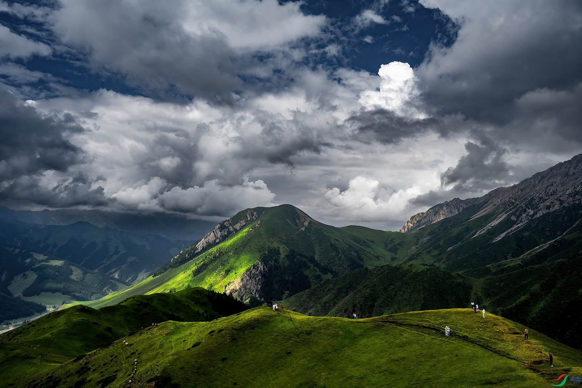 DSC_7805-1.jpg