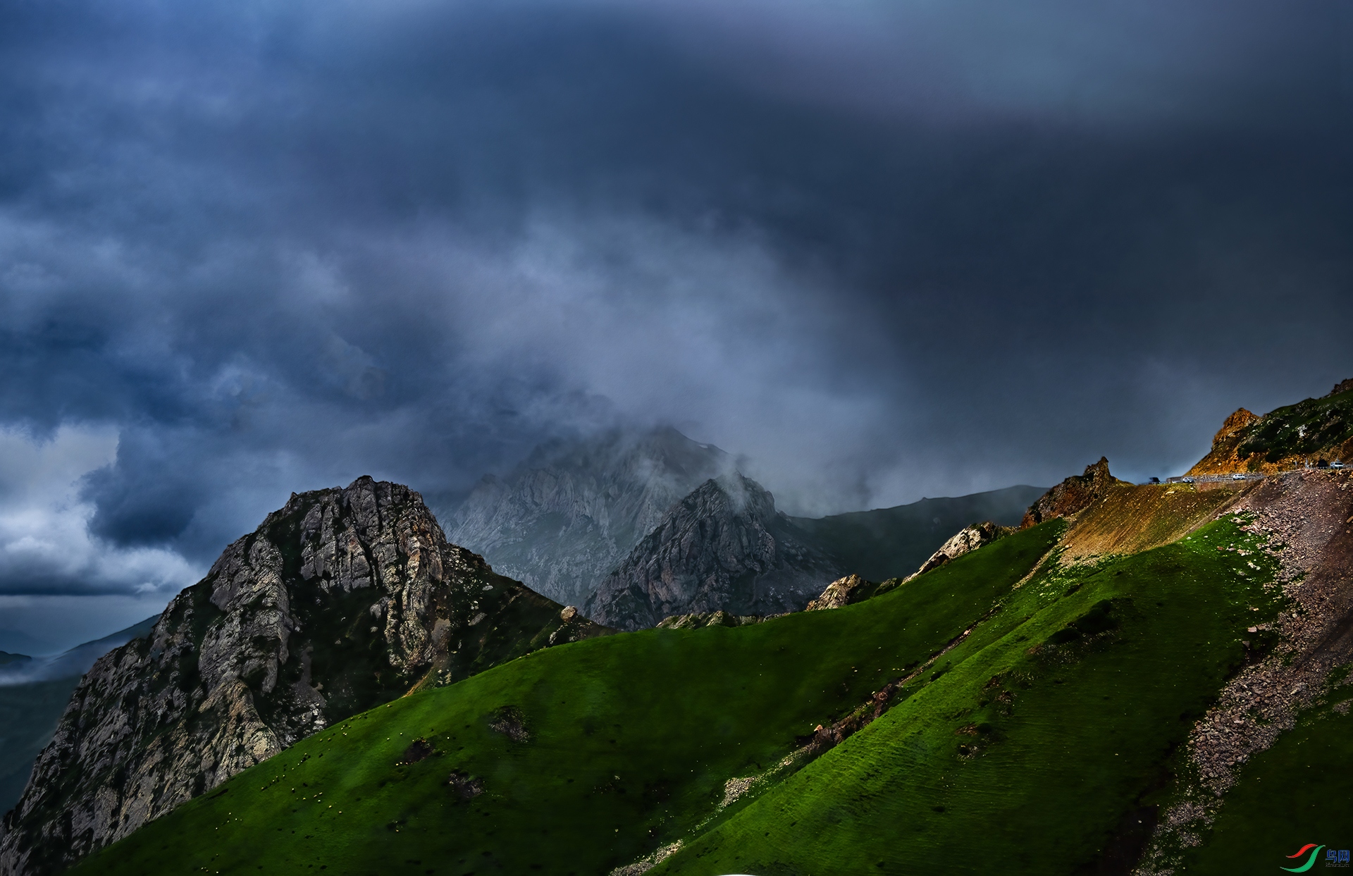 DSC_7815-1.jpg