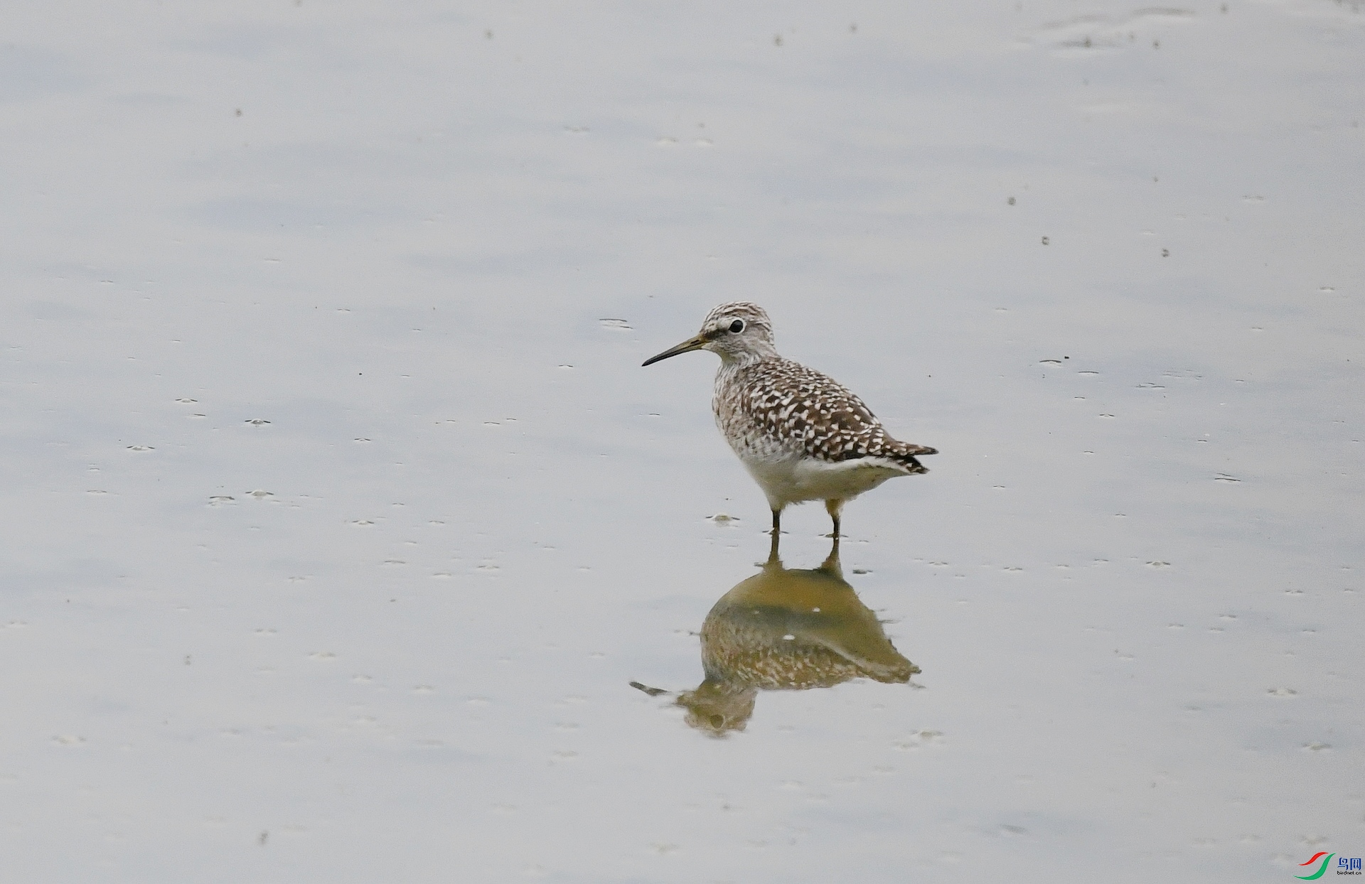 DSC_6486.jpg