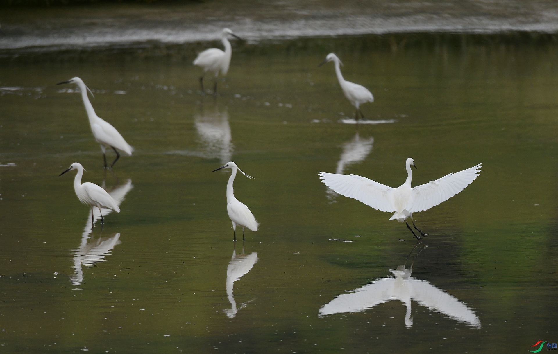 DSC_6479.jpg
