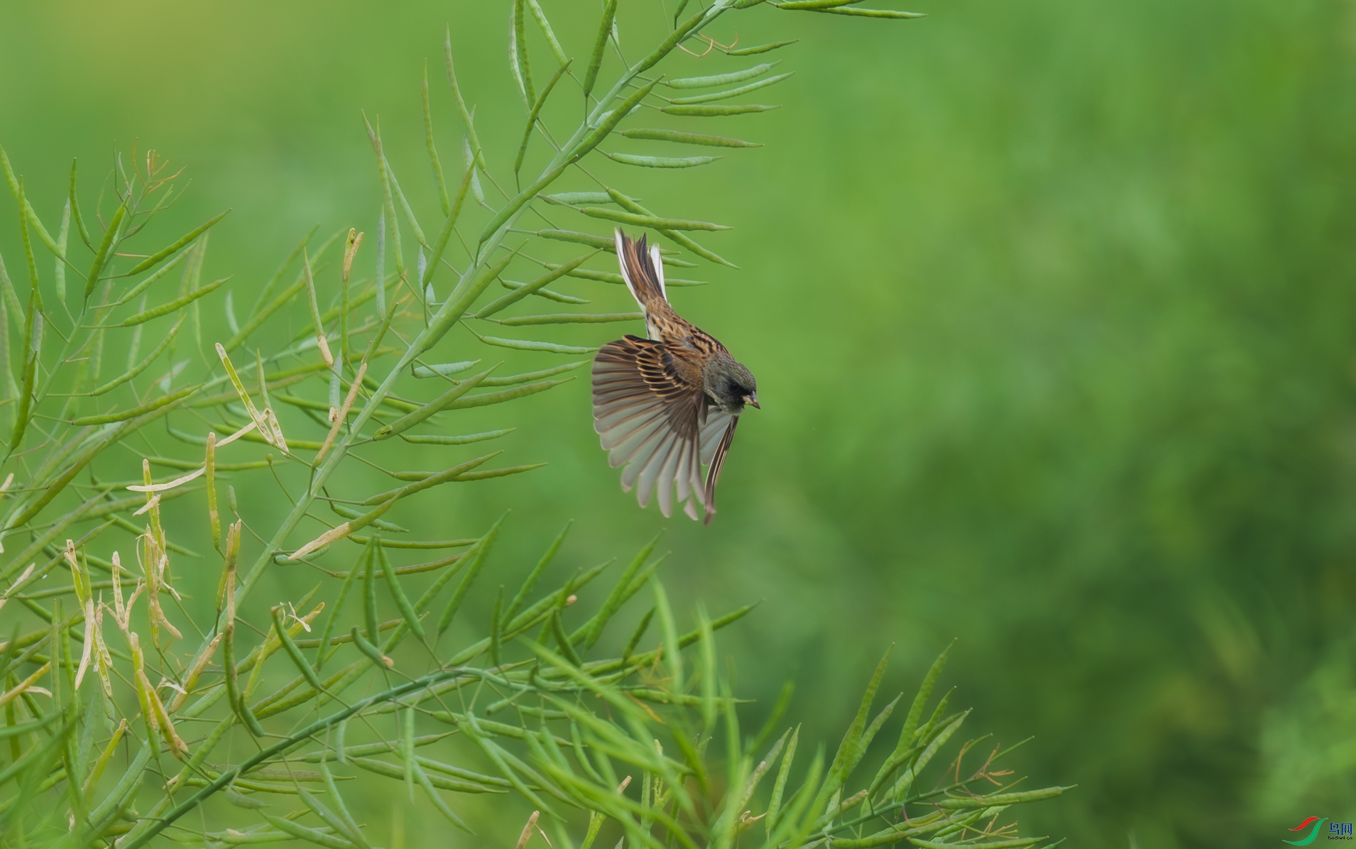DSC_4355.jpg