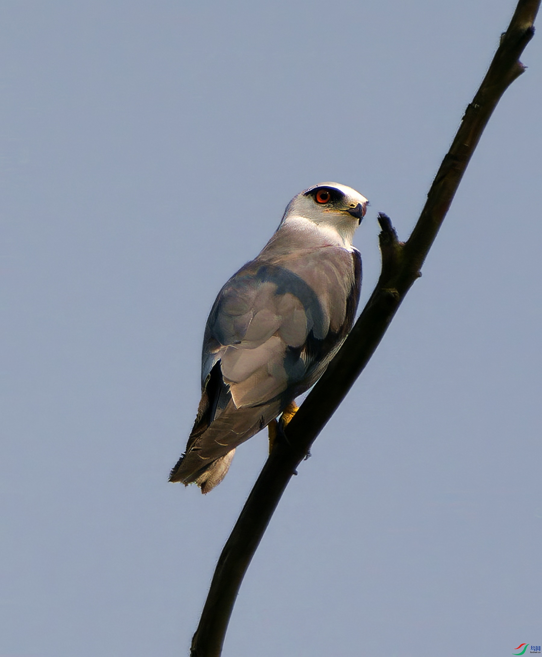 DSC05467_����-topaz-denoise-sharpen.jpg